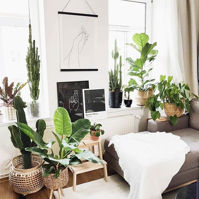 Cozy corner + a good read... yes please! 📷@thepottedjungle