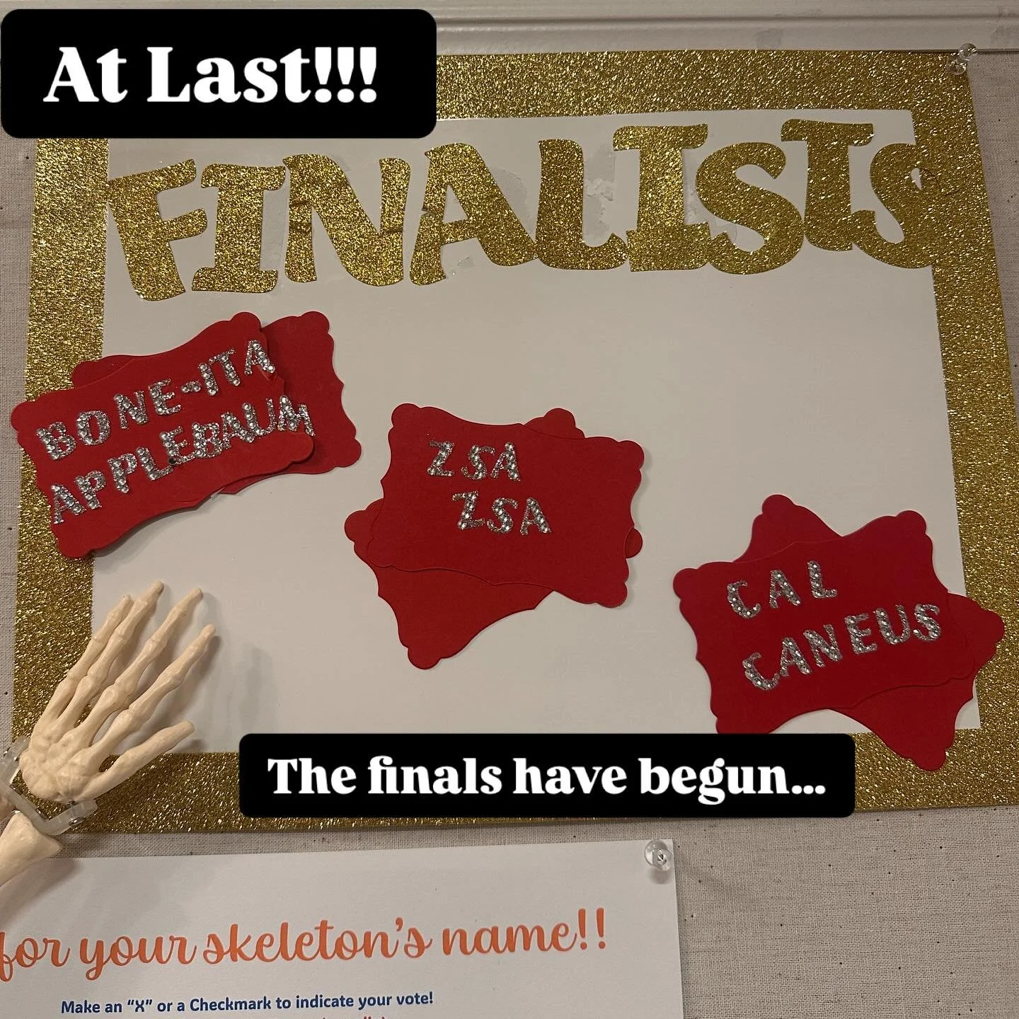 NAME OUR SKELETONS UPDATE!!! It&rsquo;s been an eventful summer here at MVP&hellip;and our ever-so-patient skeletons have kindly waited out our various projects, vacations and training programs. Now it&rsquo;s finally their time to shine! And to clai
