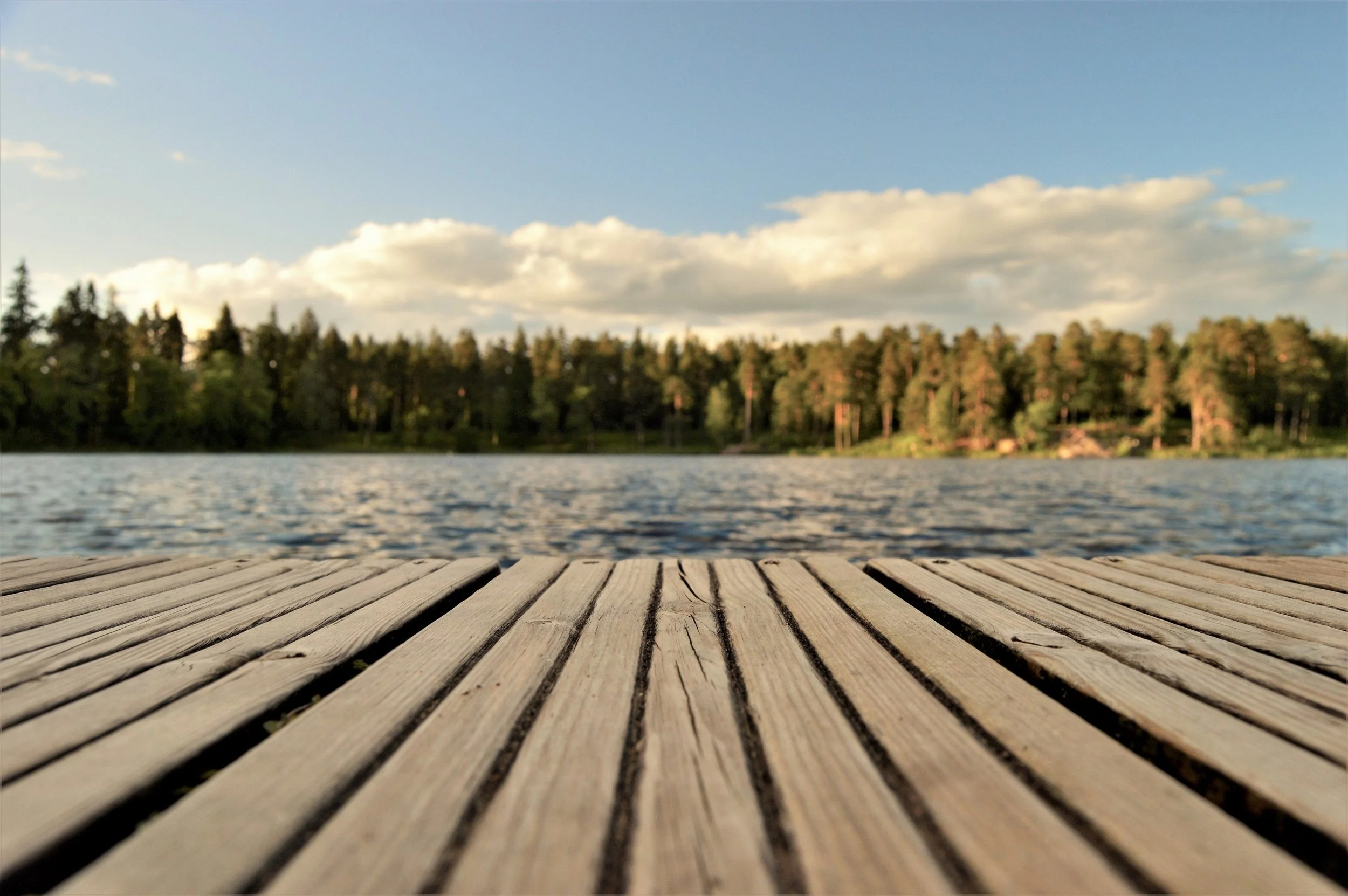 board-boardwalk-bridge-421759.jpg