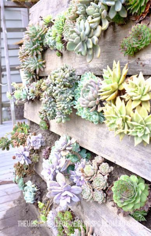 How To Make Hanging Succulent Pallets, How To Make A Vertical Pallet Succulent Garden
