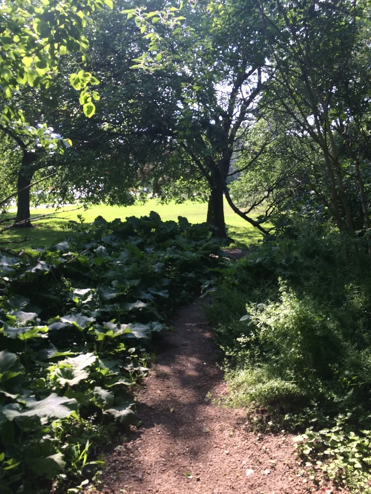 How to Enjoy Father's Day When Your Own Awesome Dad is Gone