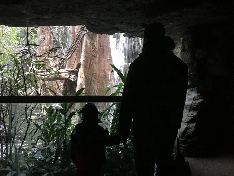 I am here now: Mom forgot who I am