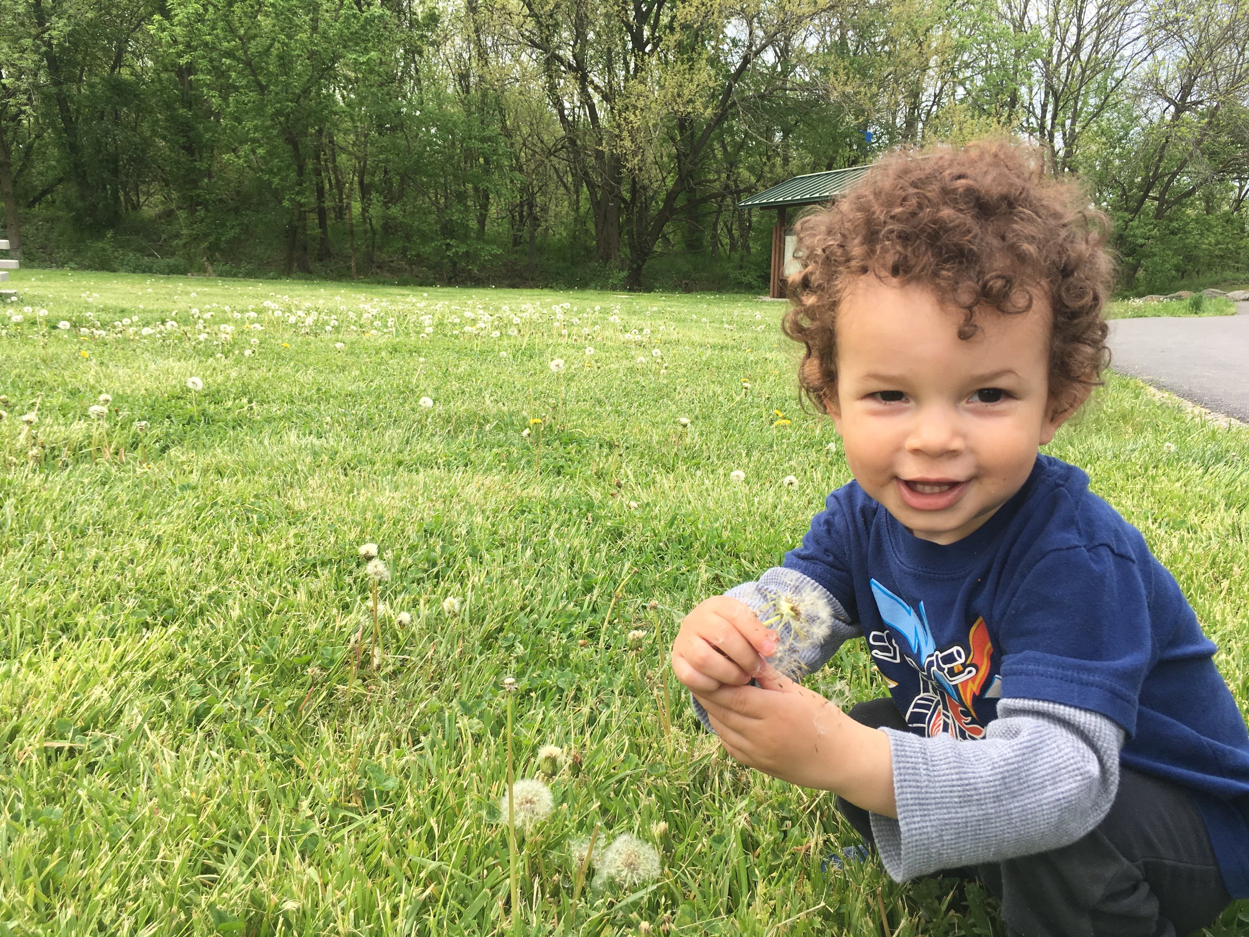 Am I a photographer? Little man at his cutest, spreading dandelions all over the park. 