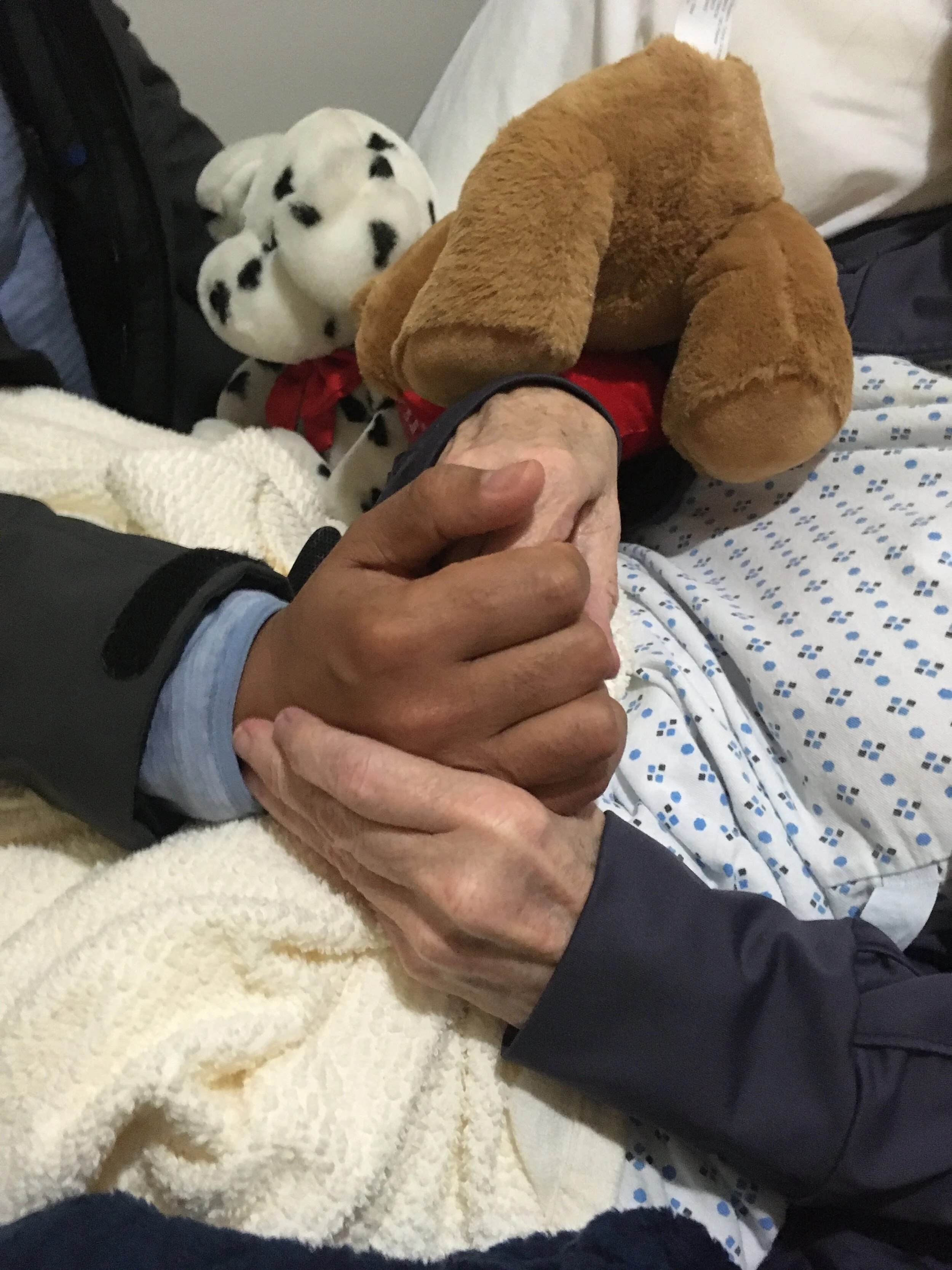 Big questions about life, memory and covering the toilet seat...