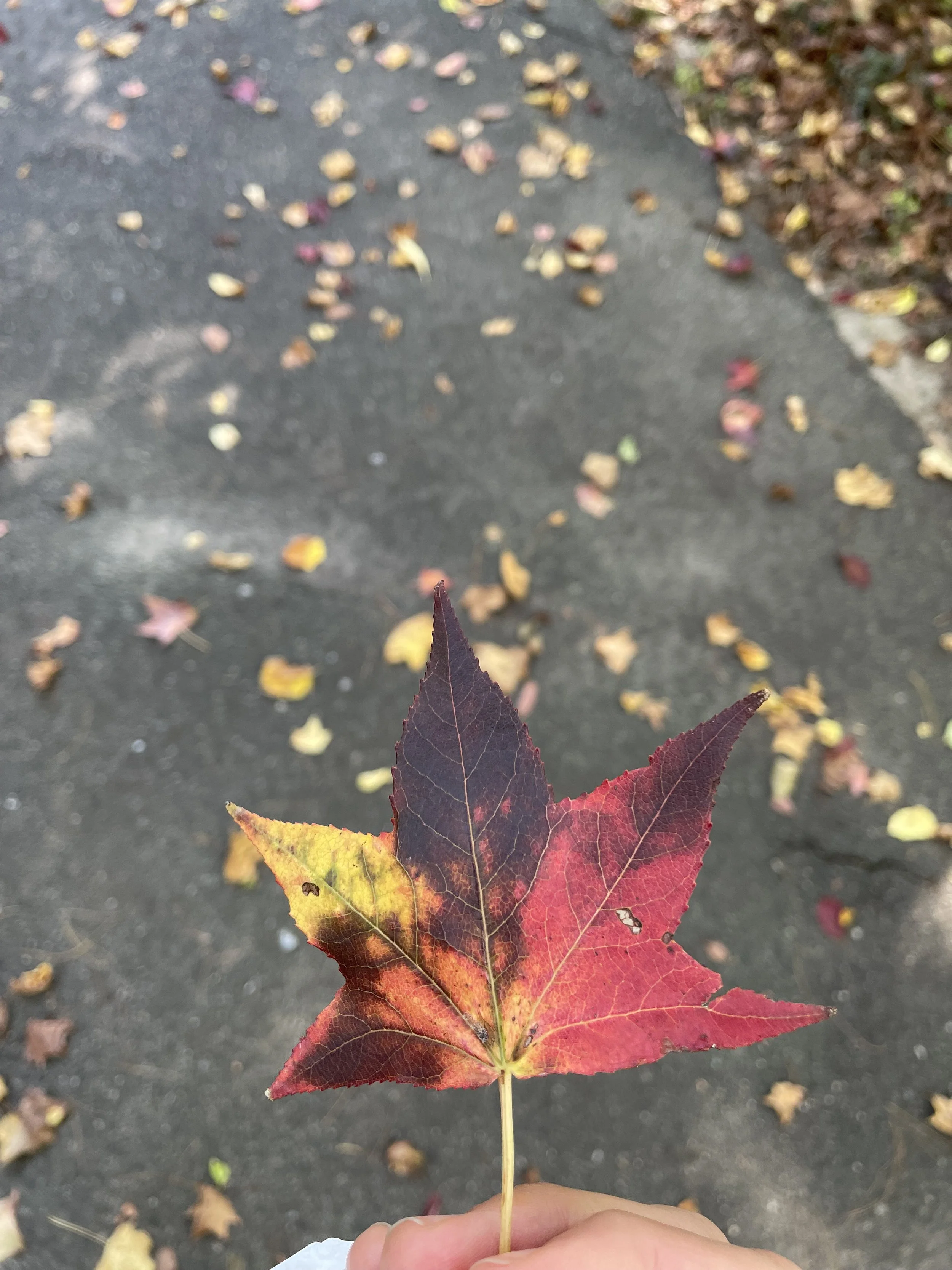 Severe dementia and end of life: stomping my feet in the hopes of some grace