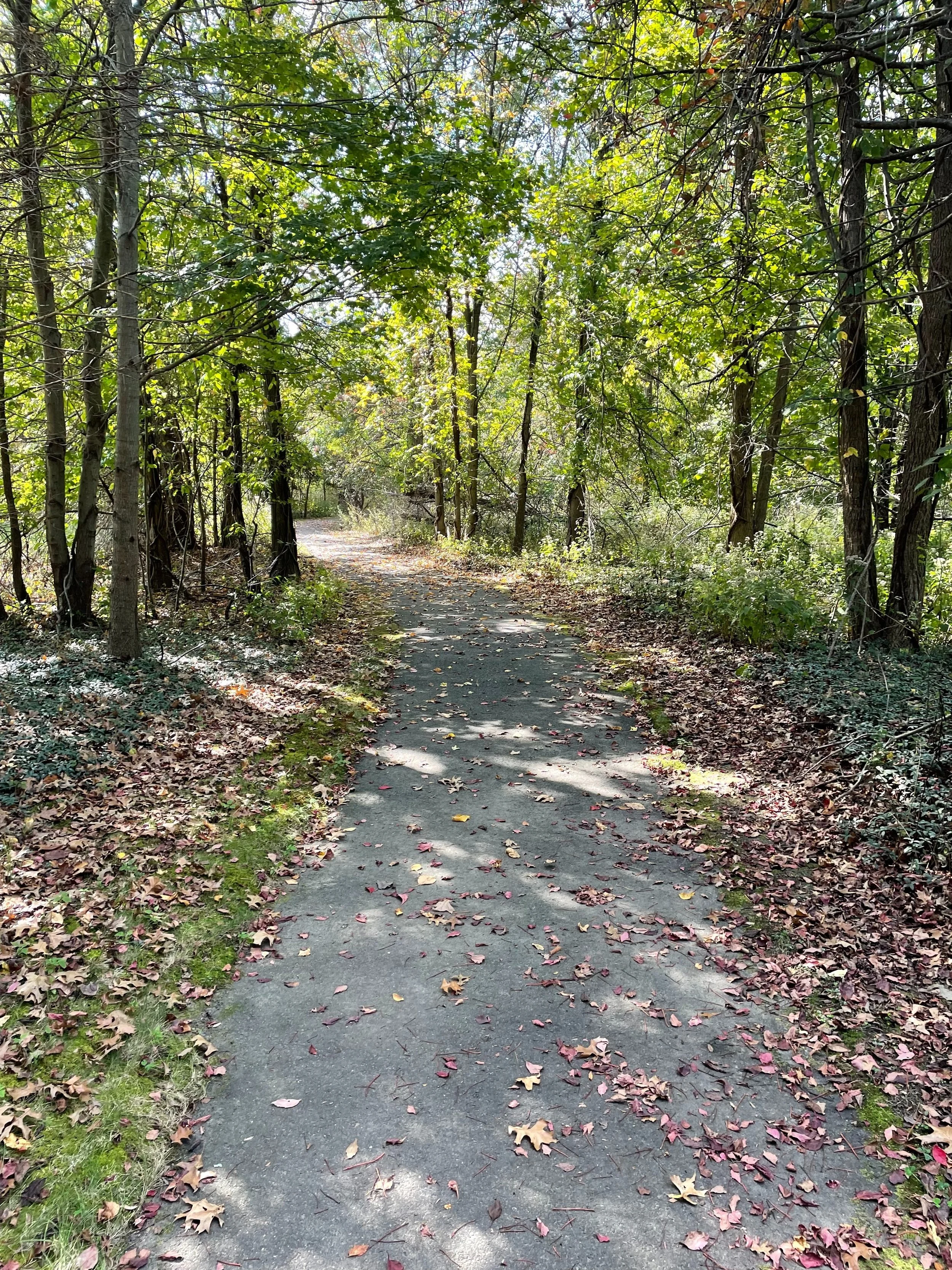 The Goodbye That I Hated And Needed All At Once