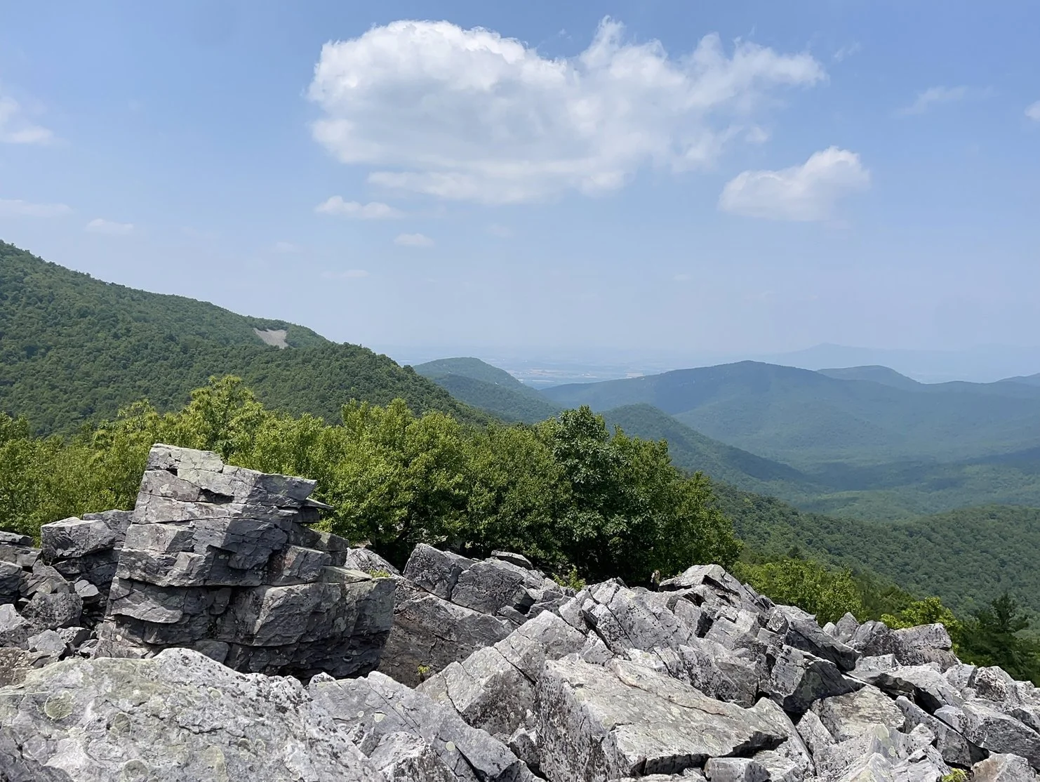 Writing the best eulogy ever- a step by step guide