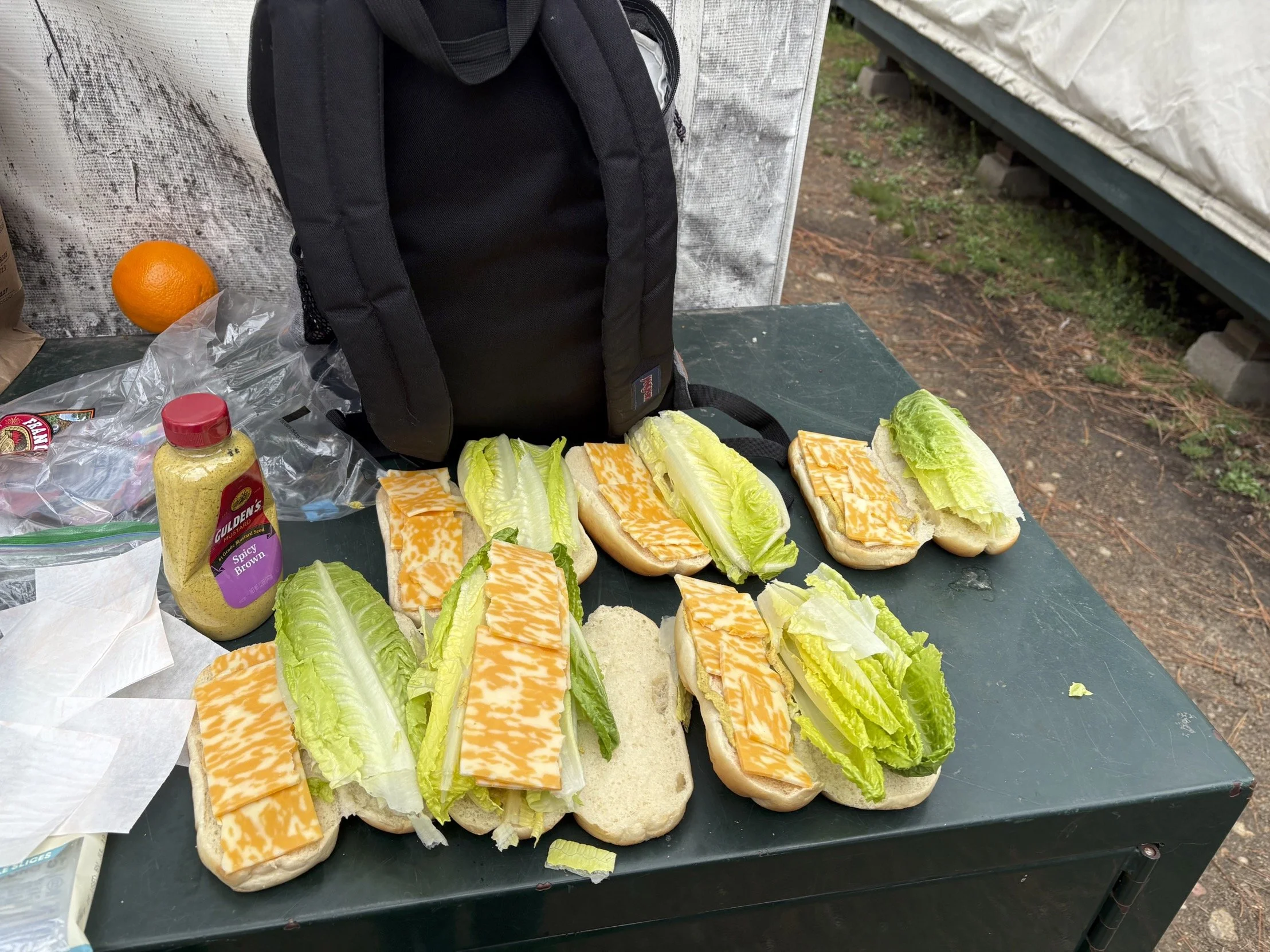 Making sandwiches and bringing them places