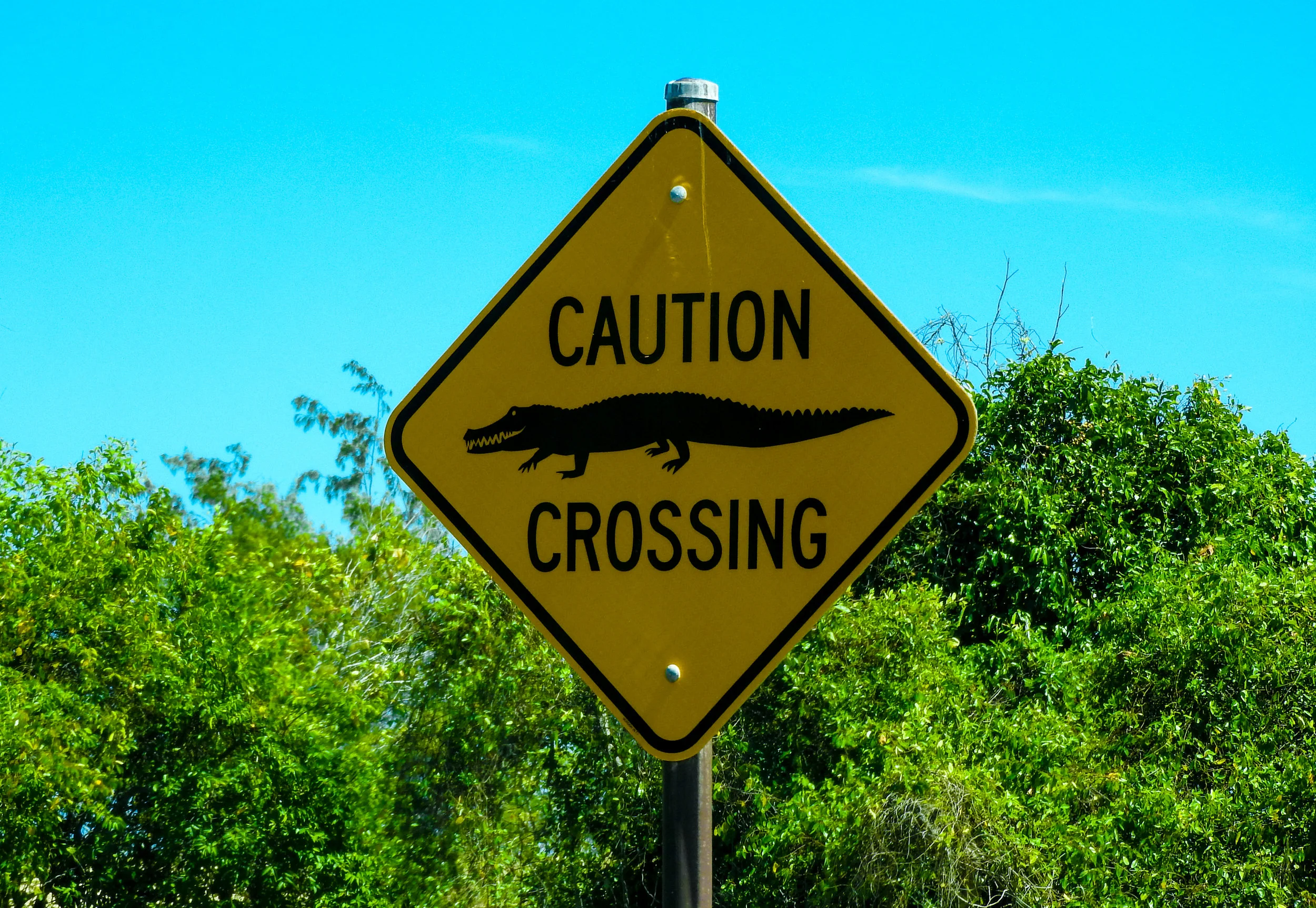 Croc crossing sign.jpg