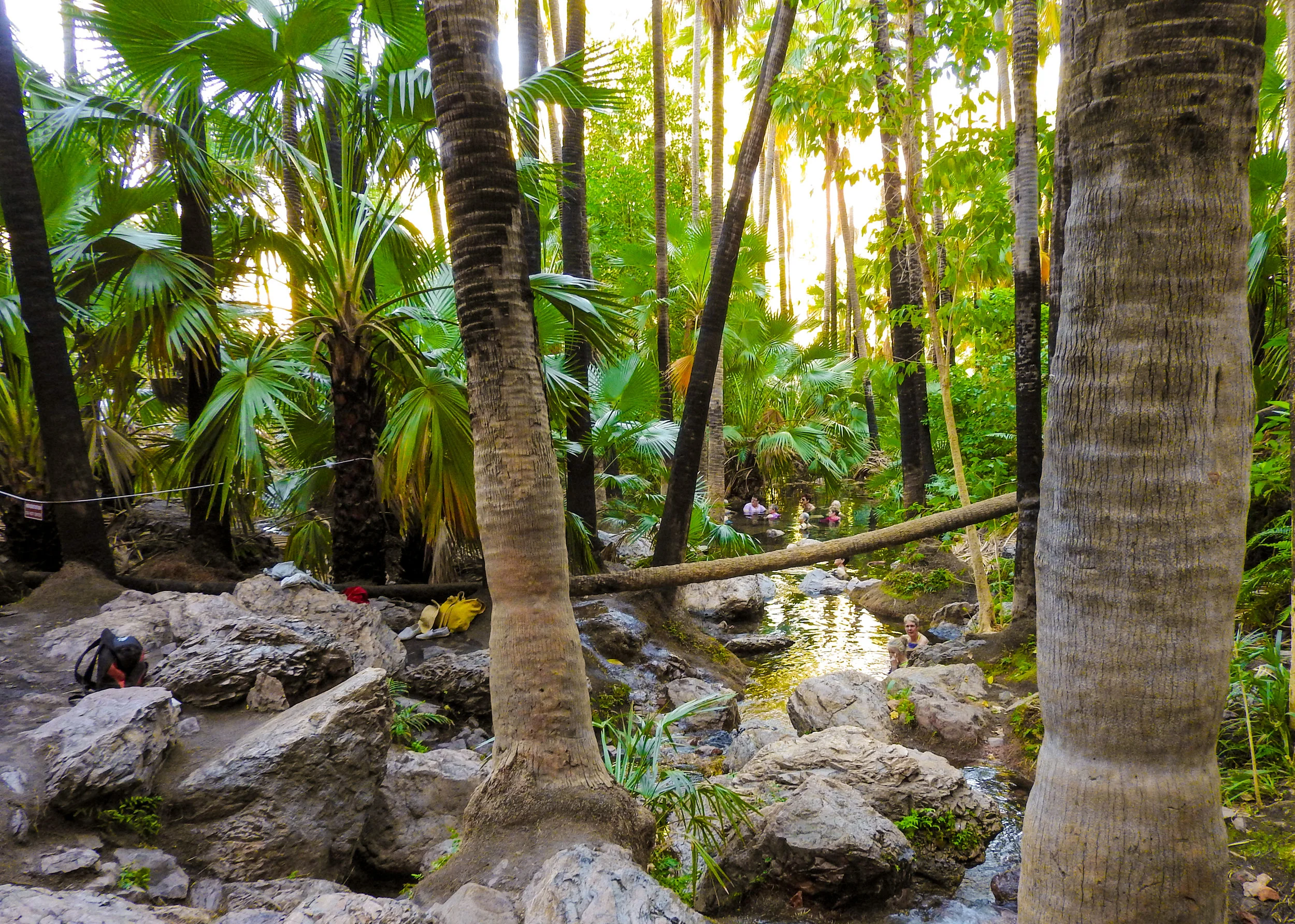 Zebedee Springs at El Questro
