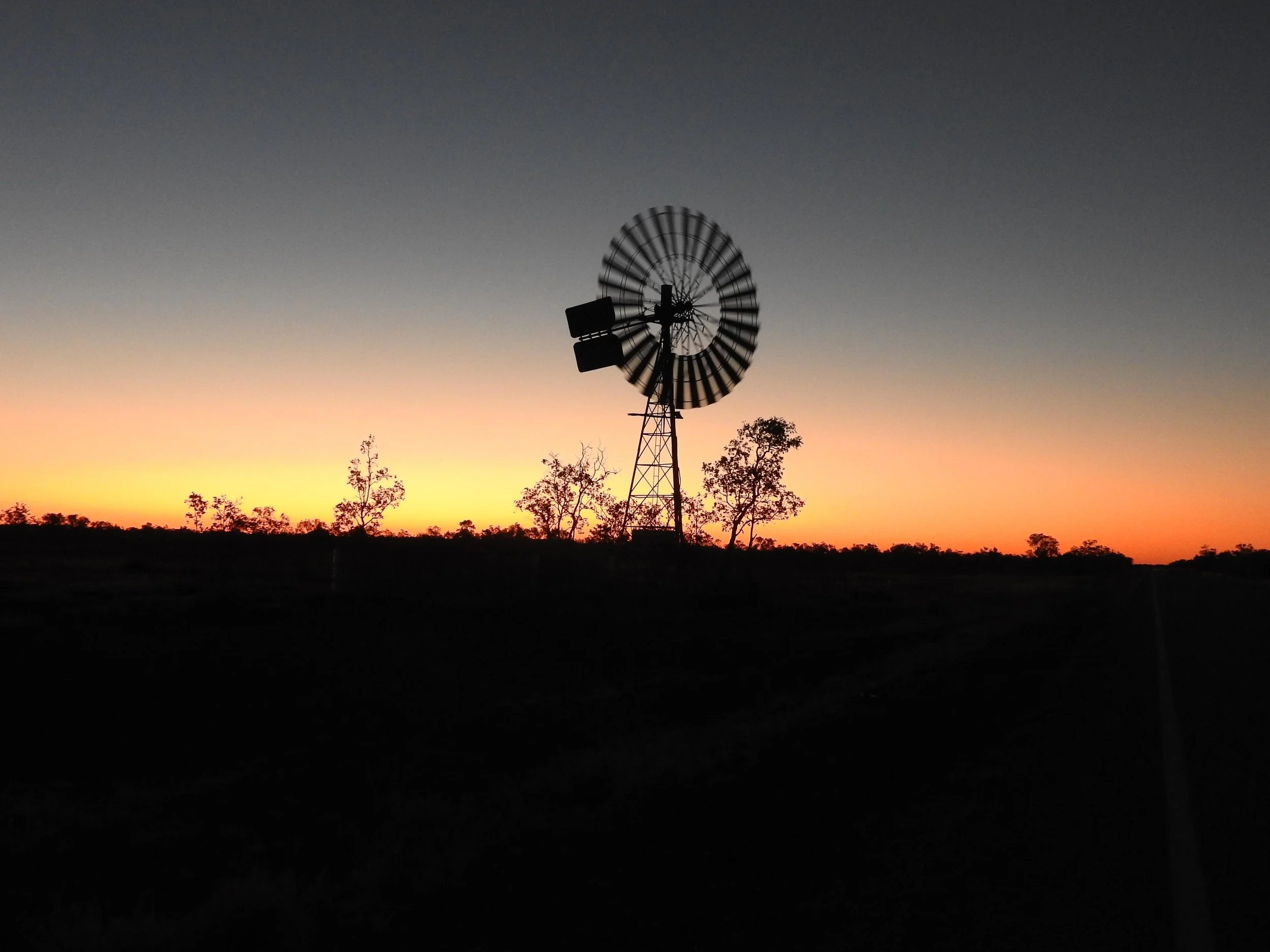 DSCN4029 LR.jpg