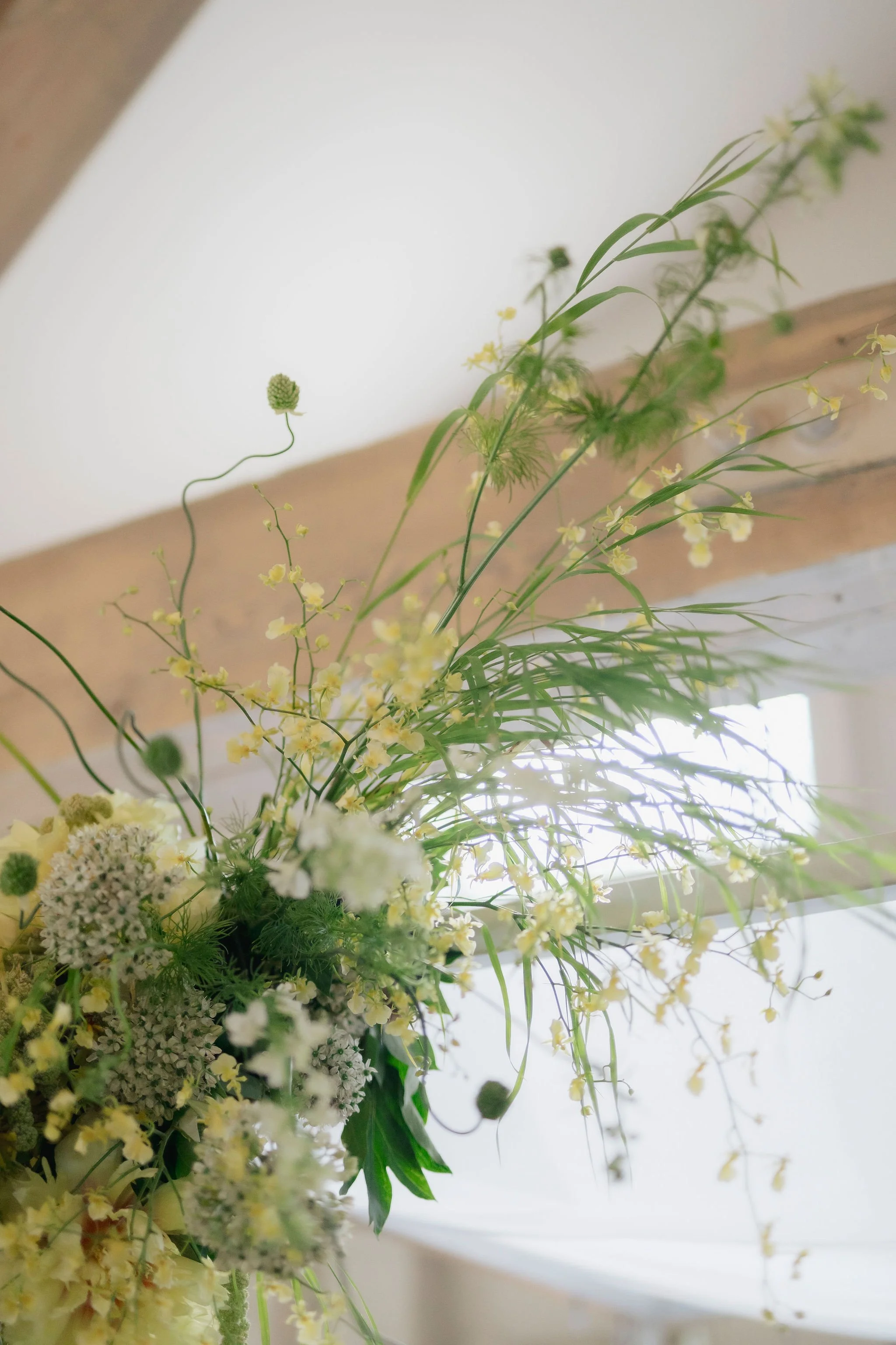 1177Hannah_Ben_Doctors_House_Wedding_Toronto_Lisa_Vigliotta_Photography.jpg
