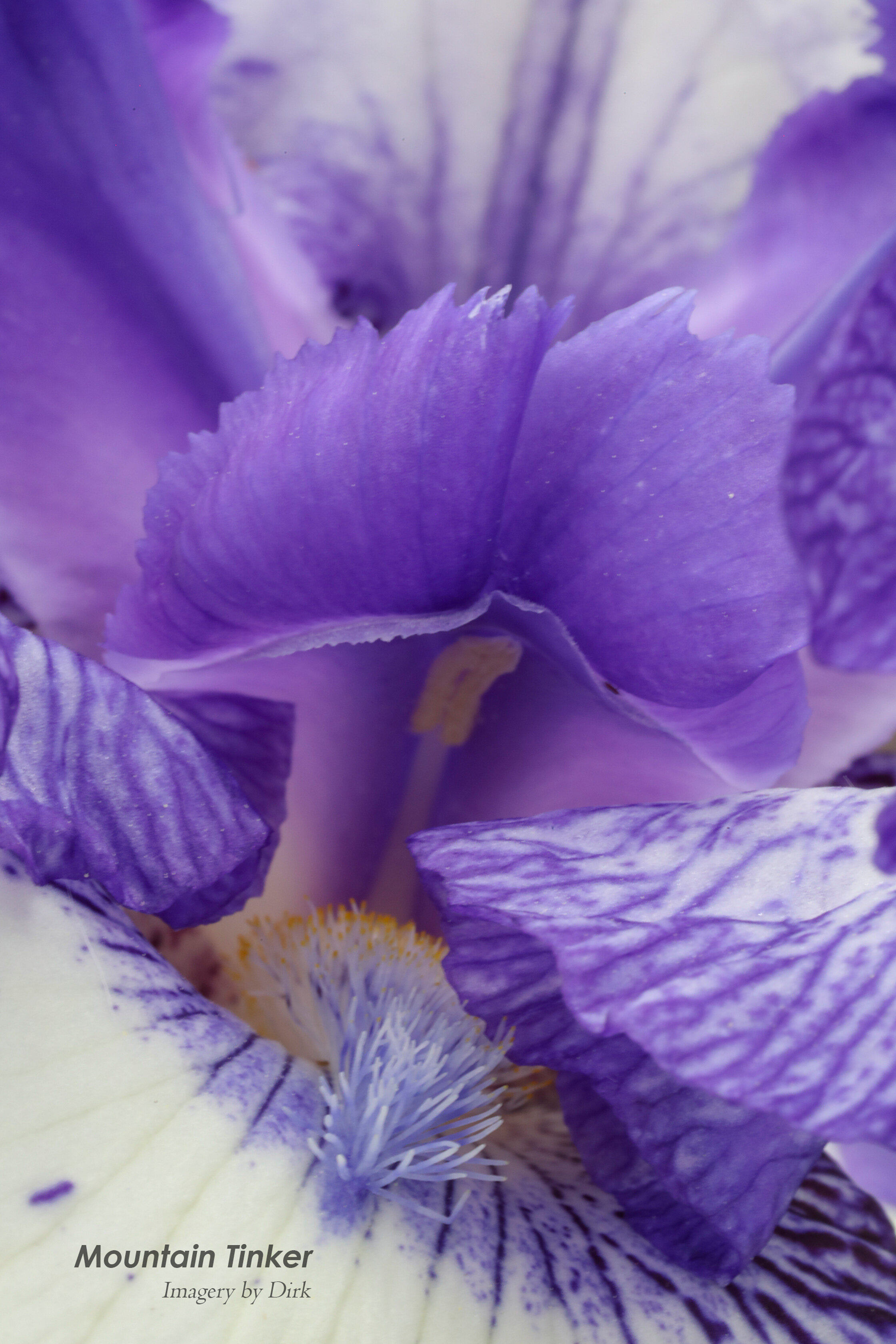 20190602-071A8134_rd.jpg