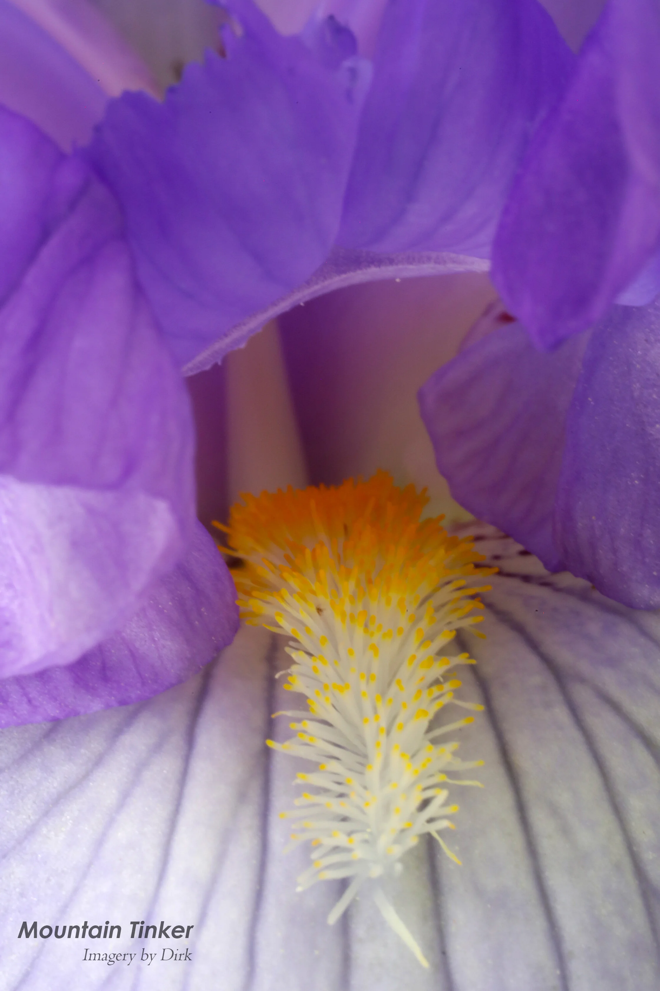 20190602-071A8145_rd.jpg