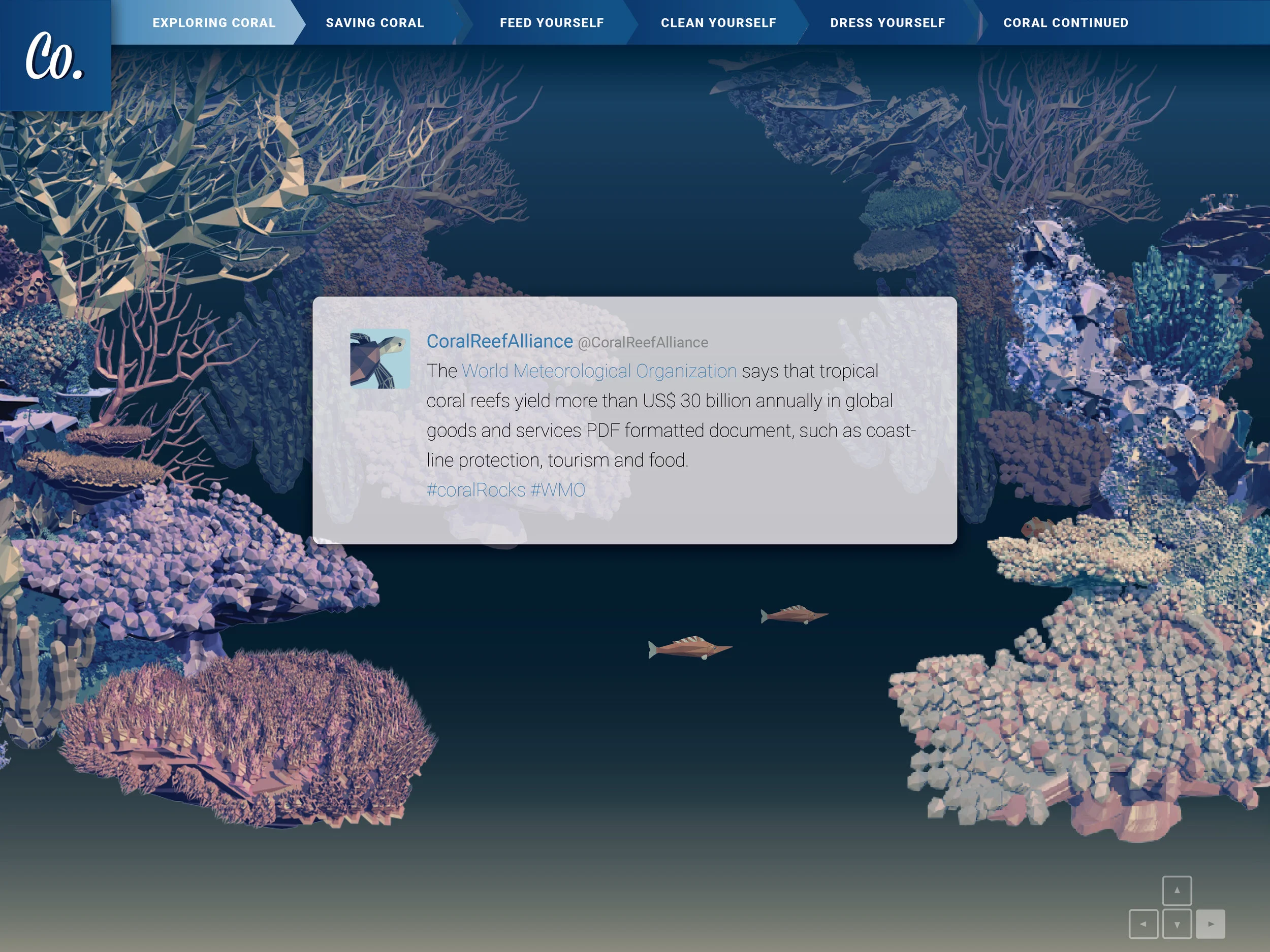 01_coral_layout 023.jpg