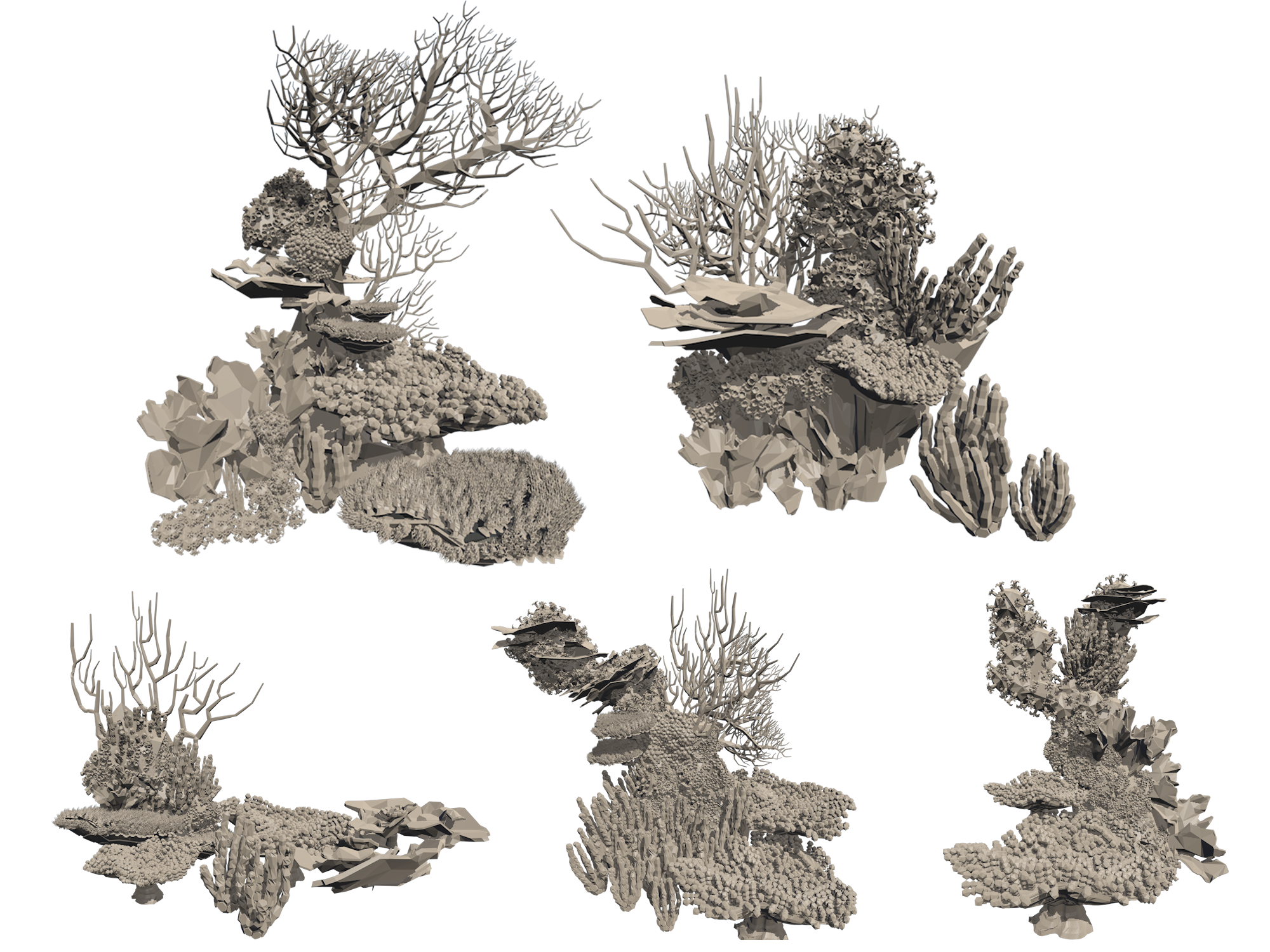 coral4.png