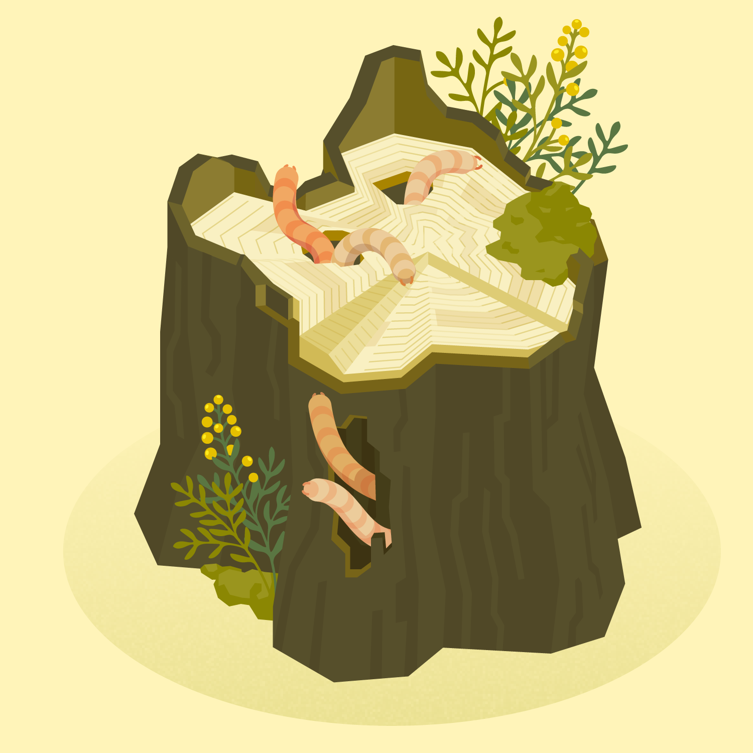 stump_11c.png