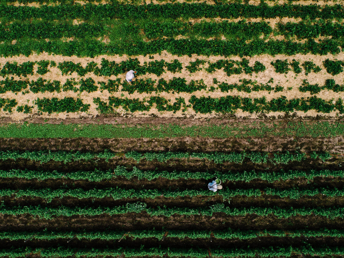 DJI_0024.jpg