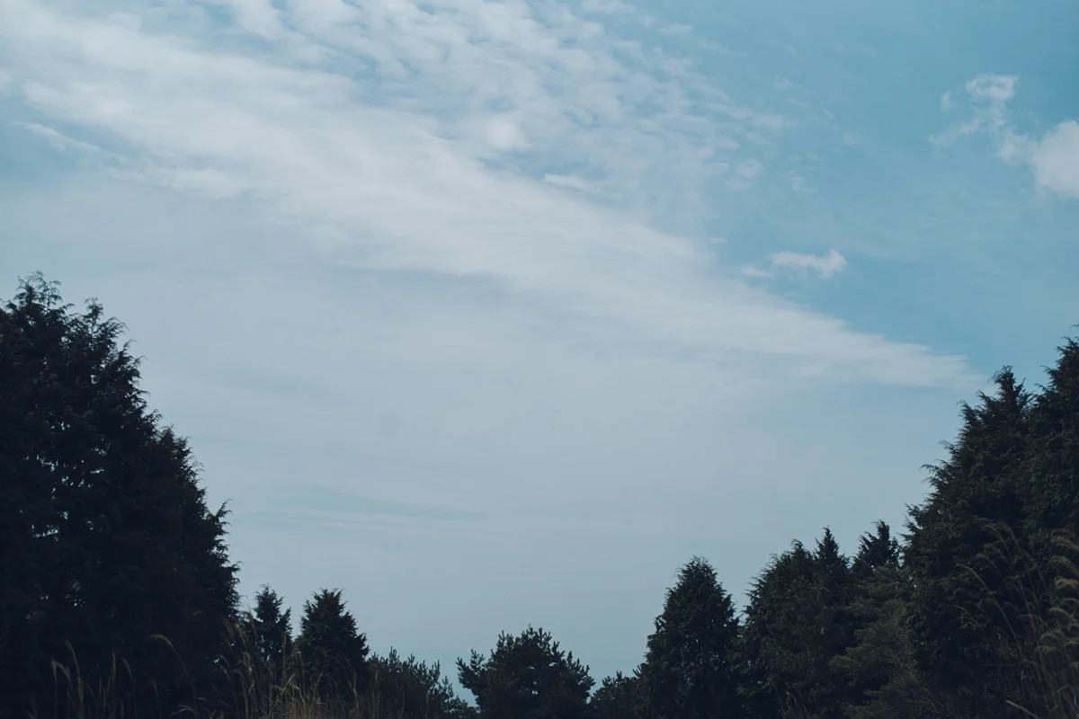 L1004524.jpg