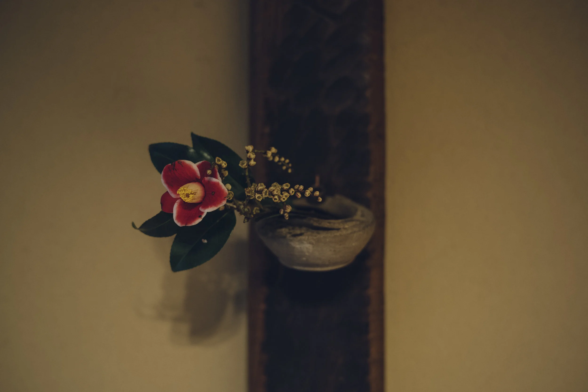 L1003100.jpg