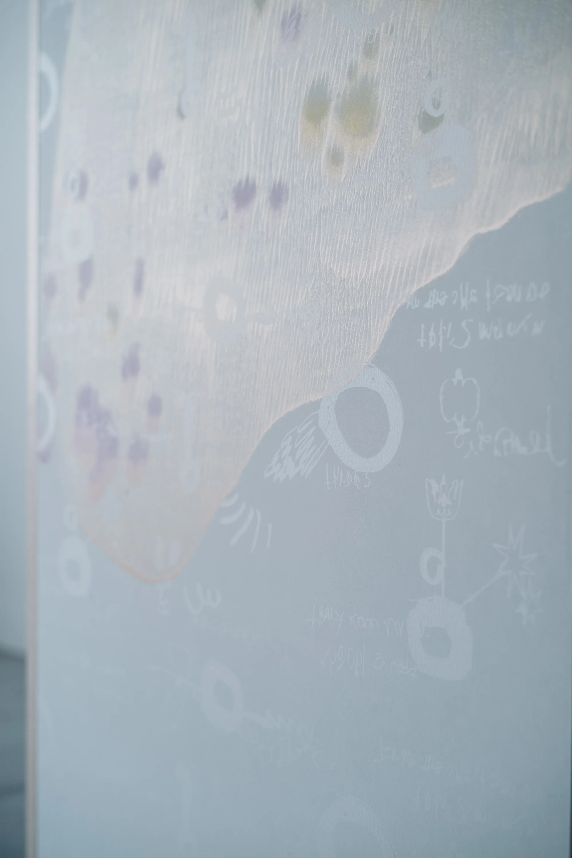 L1005486.jpg