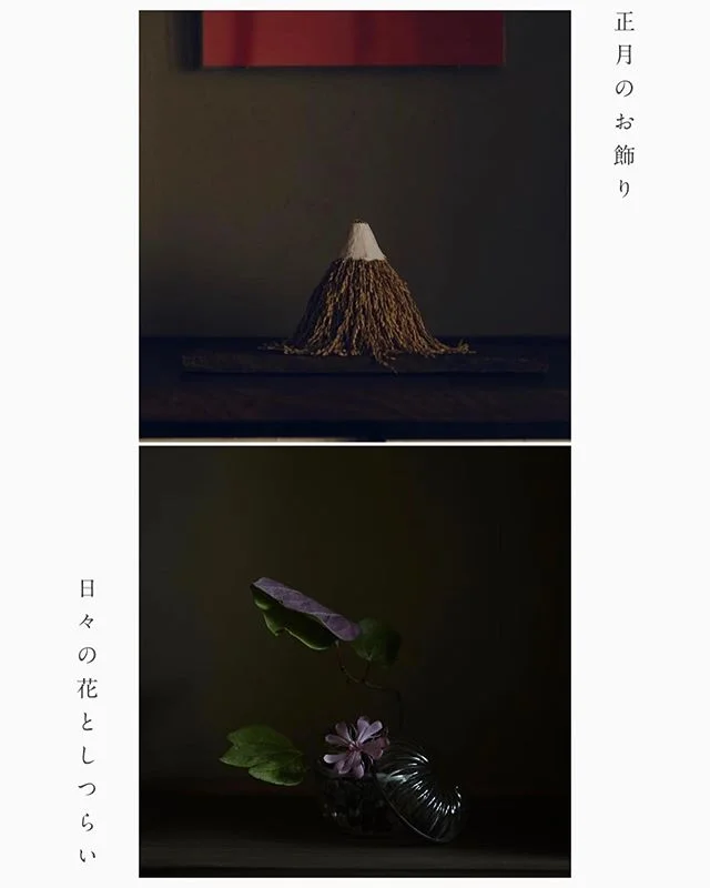 .
花屋みたてさんのWEBサイト制作をお手伝いさせていただきました。
https://www.hanaya-mitate.com
.
「正月のお飾り」も予約開始しています。完売してしまったお飾りもあるのですが、この機会にぜひお買い求めください。

去年みたてさんと一緒に制作した写真集「みたての正月」も、
ディスカバリー号のオンラインショップTOIにて販売中です。
.
みたてさんがつくる「祈りのかたち」。
自然や時間、信仰に対する日本独特の感性を
感じていただけたらうれしいです。
https://shop.toi-kyoto.jp