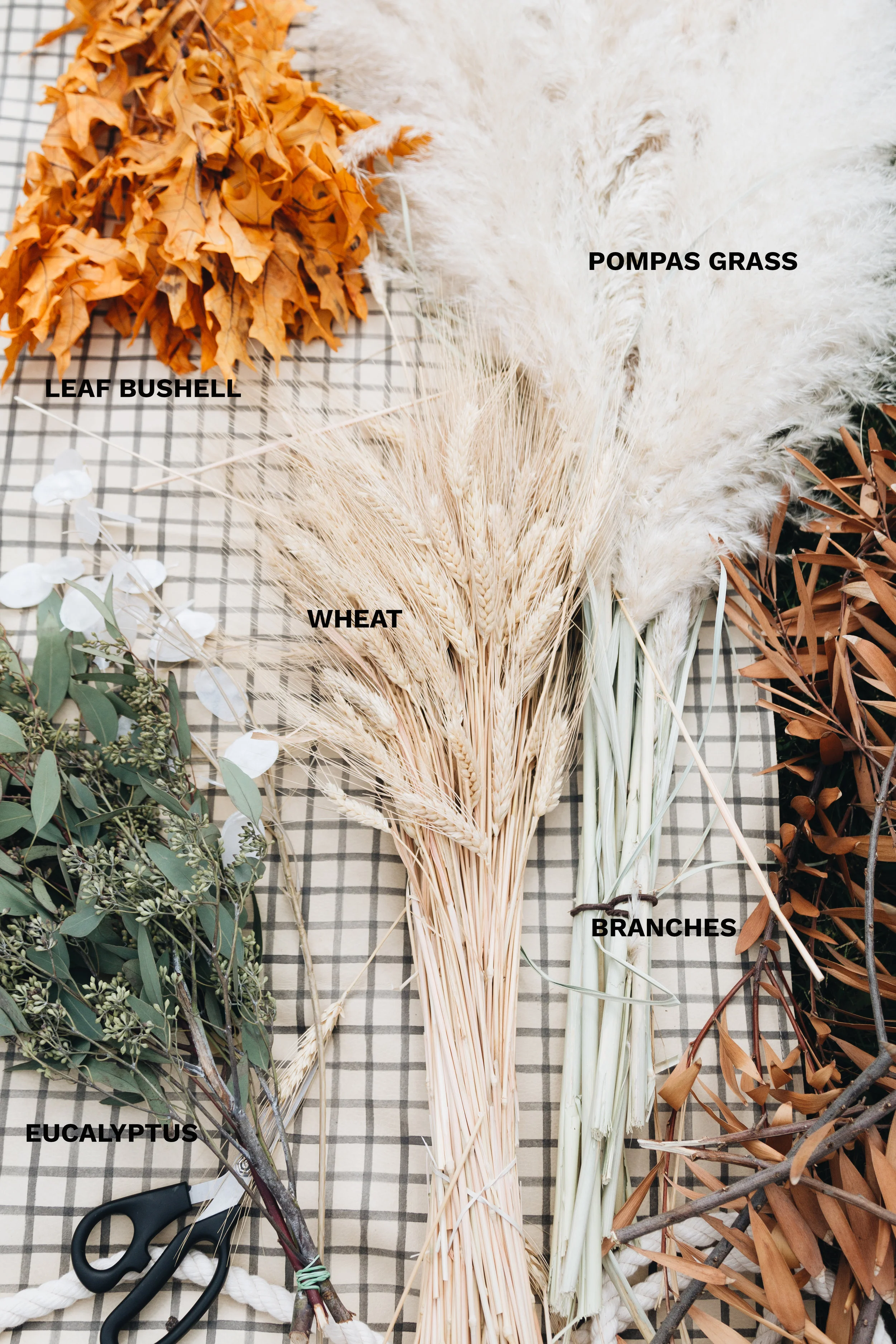 LEAF BUSHEL: Ralphs Grocery // POMPAS GRASS: I chopped mine on the side of the road but here’s a link to order online // EUCALYPTUS: Trader Joes // WHEAT: Marshalls or Online Here // BRANCHES: I chopped mine off a dead tree in my yard, so you could do the same or here are some branches online