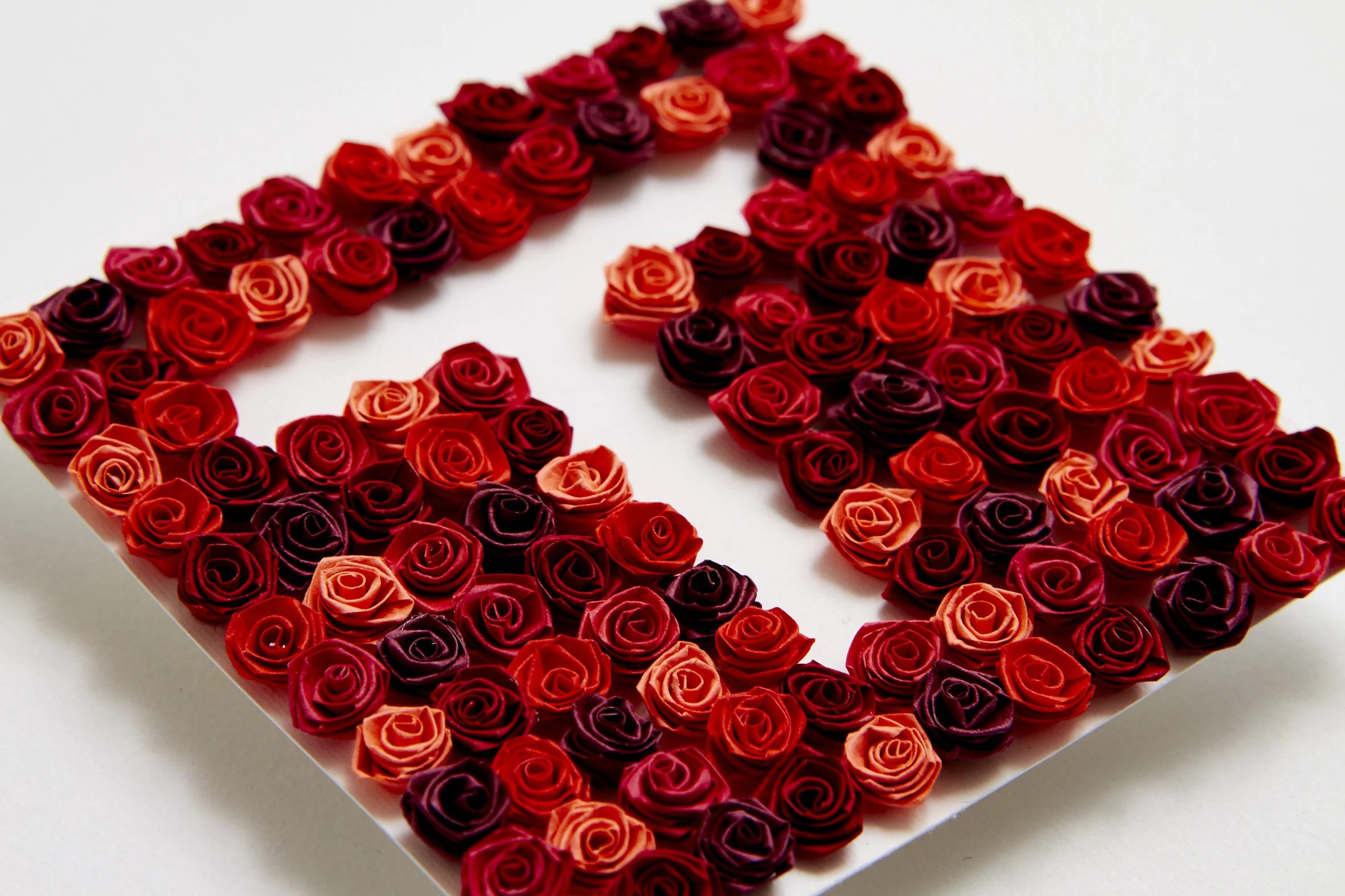 T Series - Roses