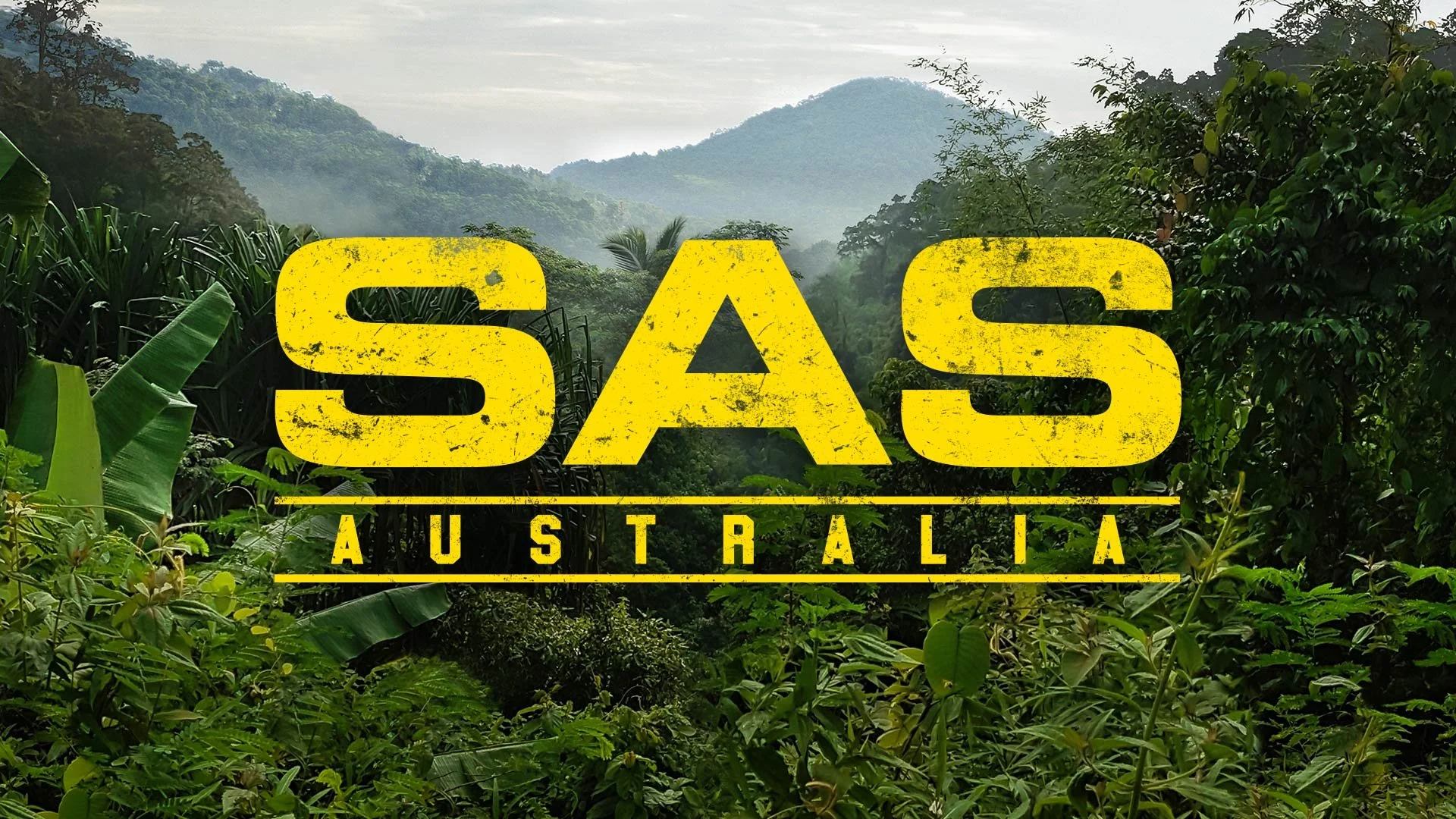 SAS_7.jpg