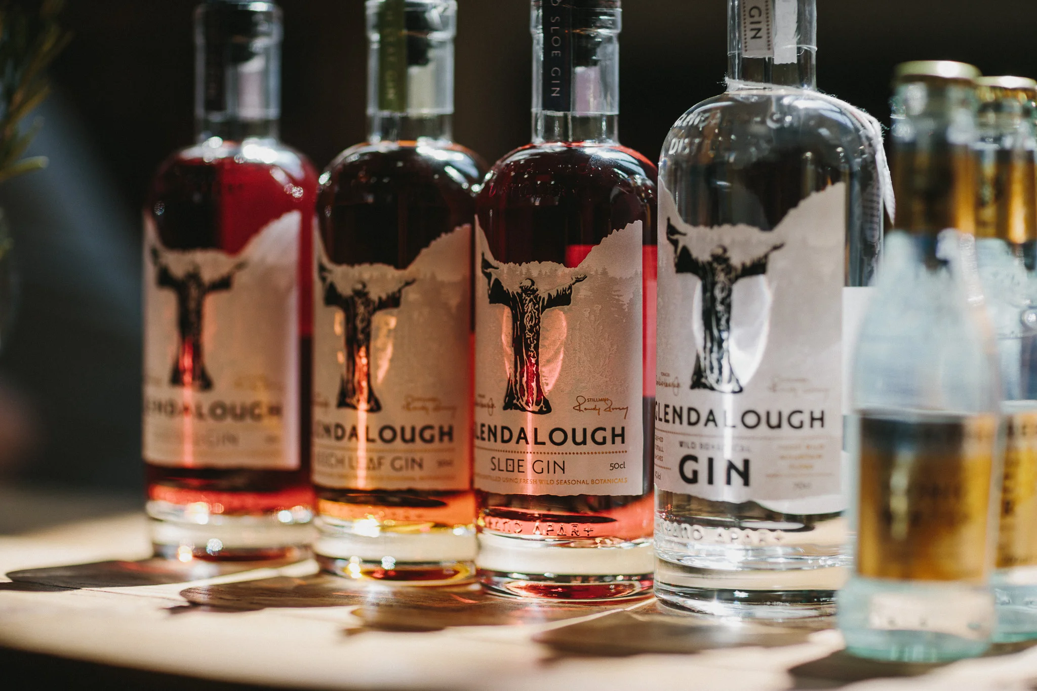 Belfast_Gin_Fest-11.jpg