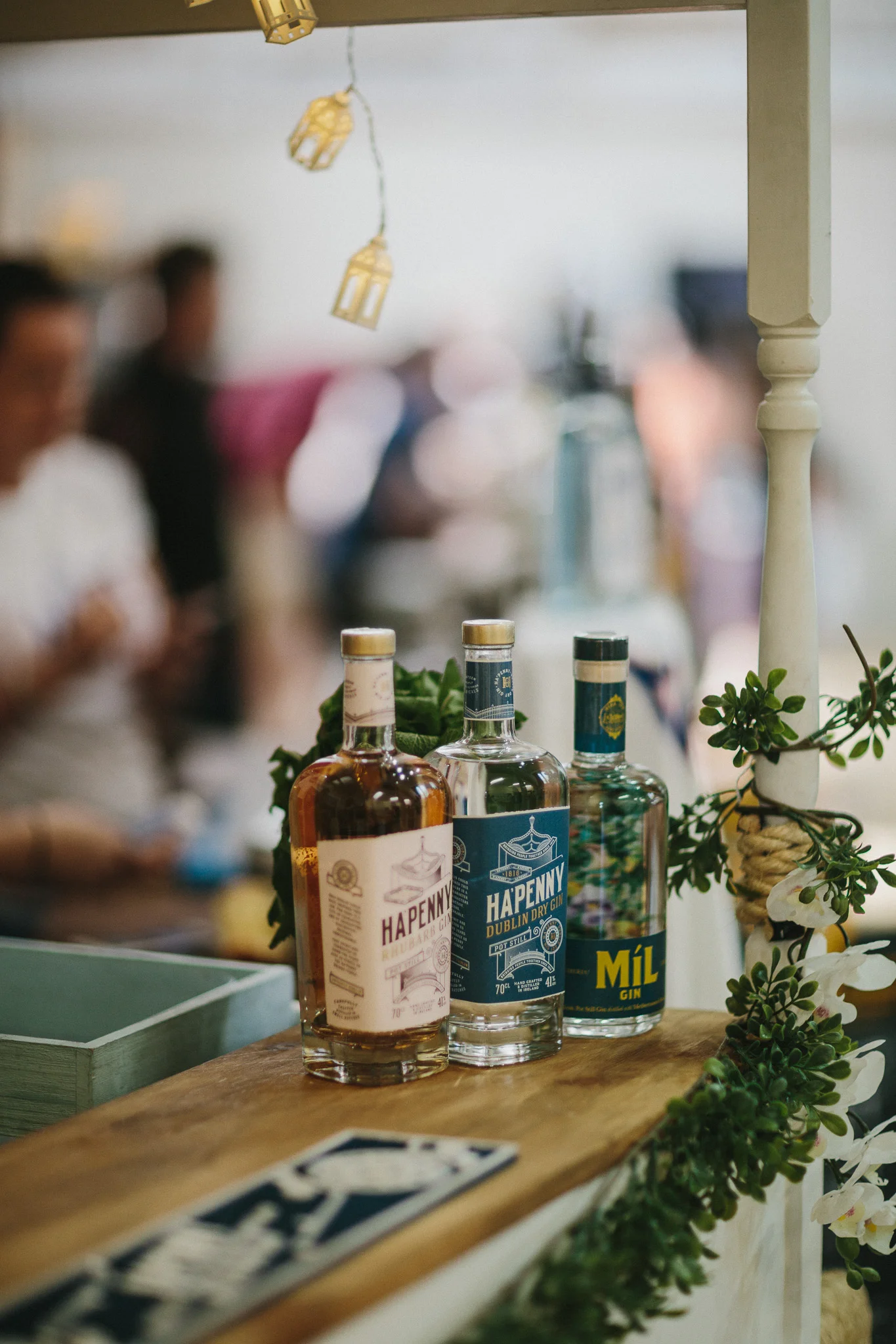 Belfast_Gin_Fest-40.jpg