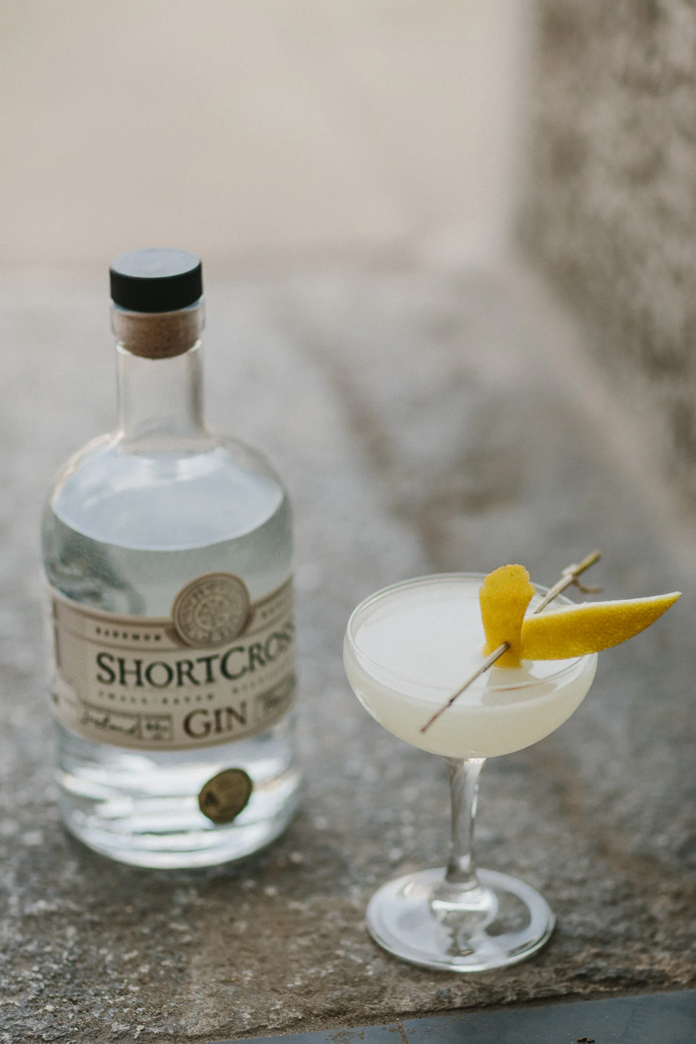 Belfast_Gin_Fest-54.jpg