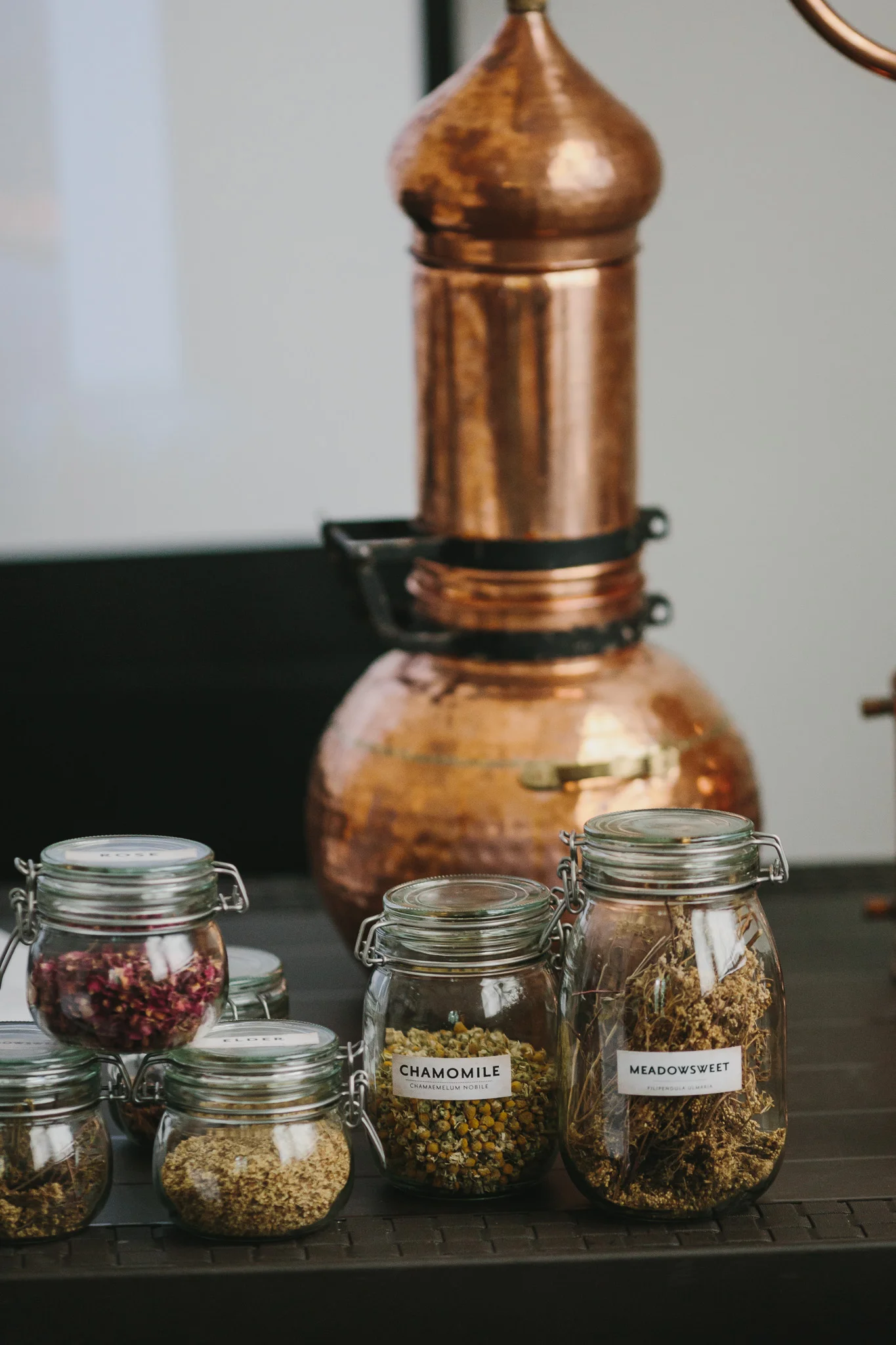 Belfast_Gin_Fest-112.jpg