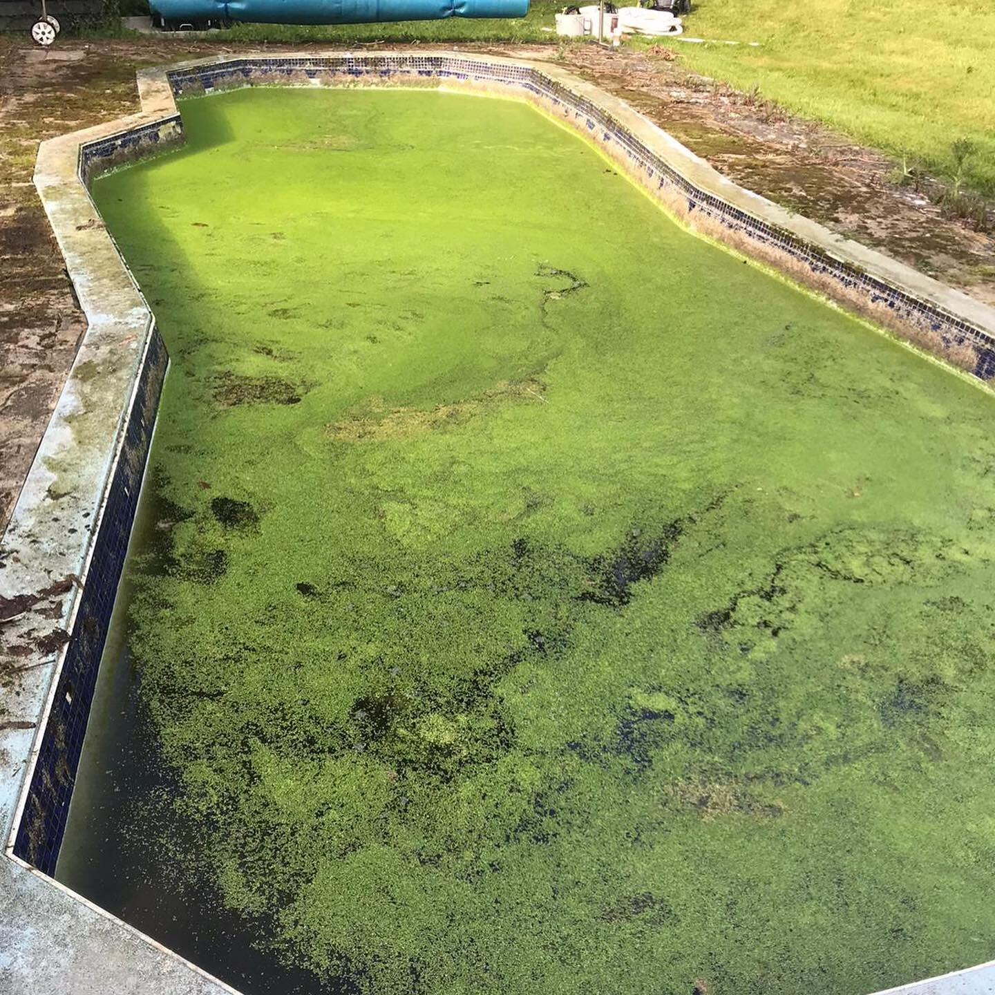 Plenty of elbow grease needed to clean this pool after four years of being sat unused, but 24 hours later it&rsquo;s good to go, and boasting a new, efficient air source heat pump and filter. Now to add water!