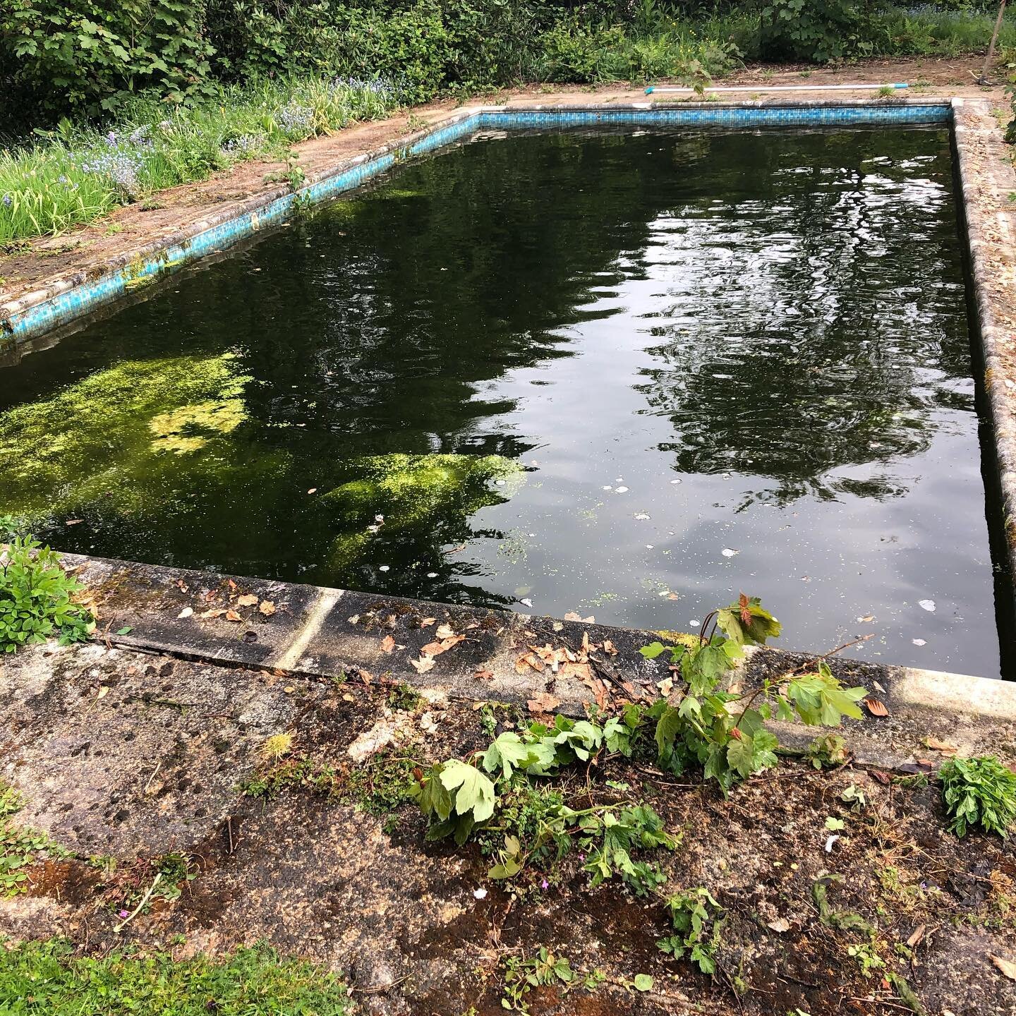 Paving removed, pool emptied and cleaned-first phase complete. Really looking forward to giving our client a beautiful &lsquo;new&rsquo; pool to enjoy for years to come!