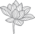 Logo-lotus grey-kl.png