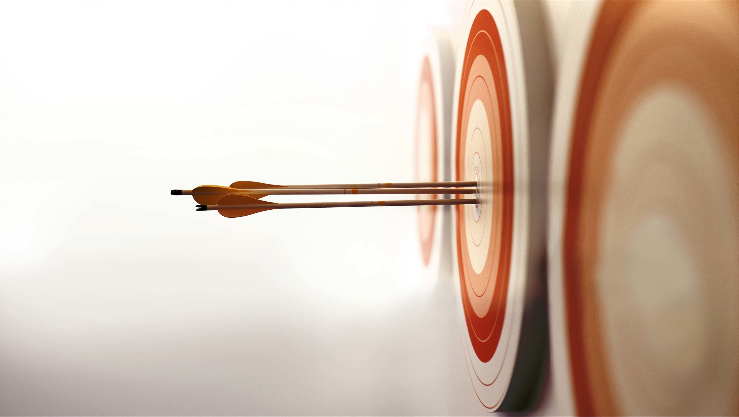 arrows ed smaller.jpg