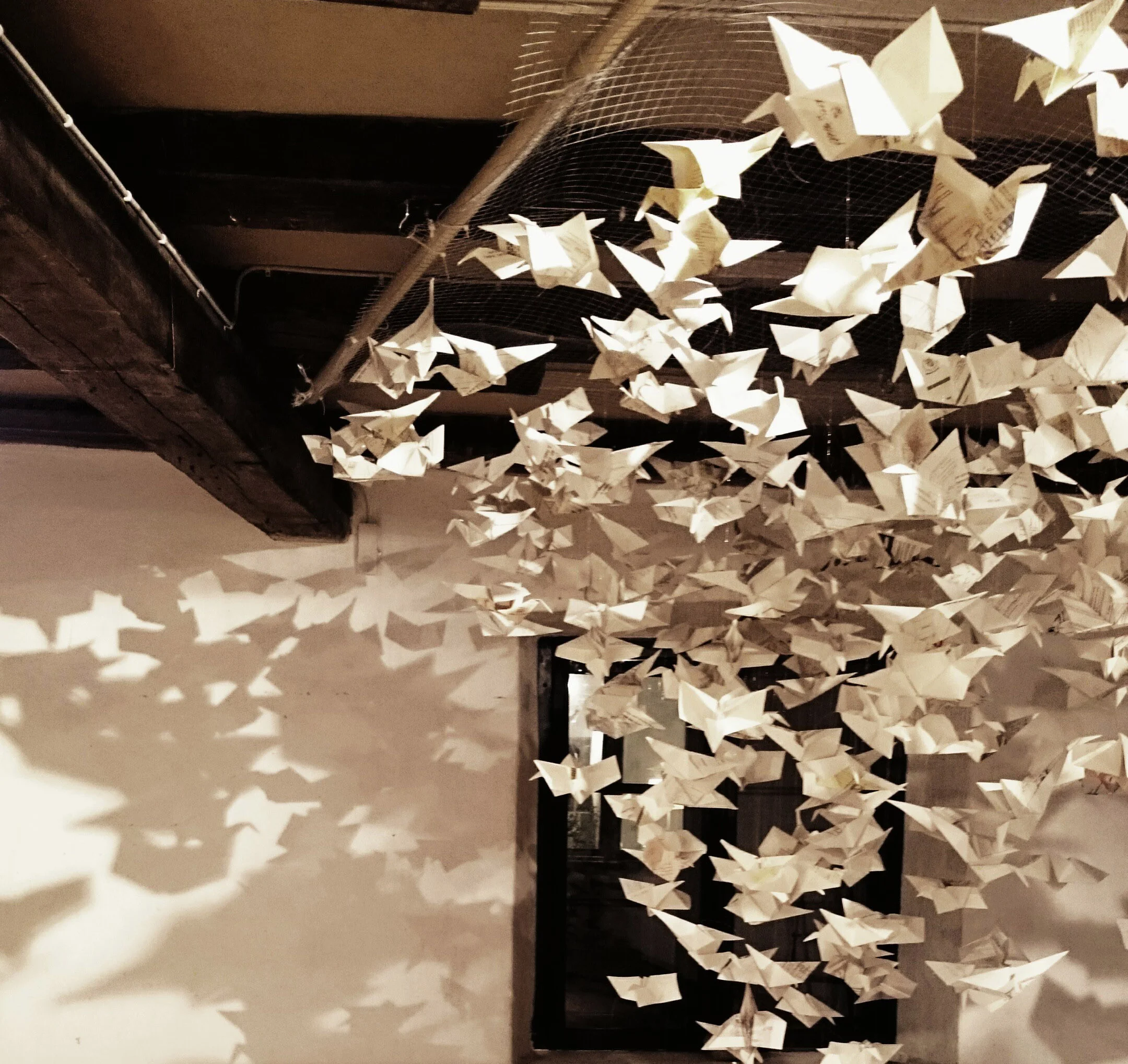 _20160217_124438.jpg