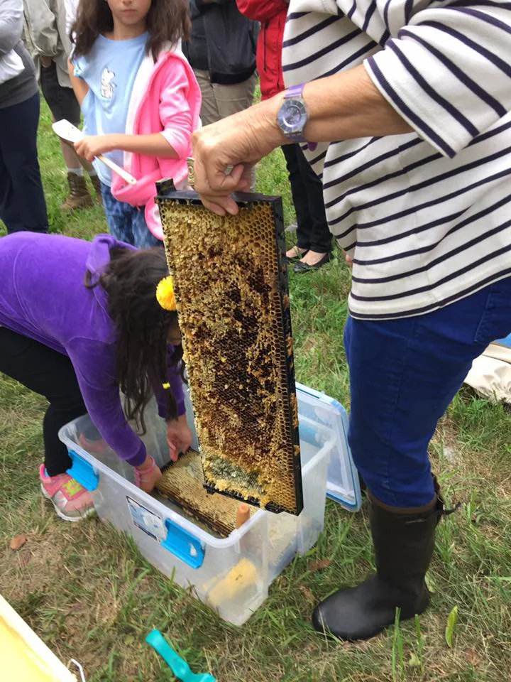 JohnGraceHoneyExtractor4.jpg