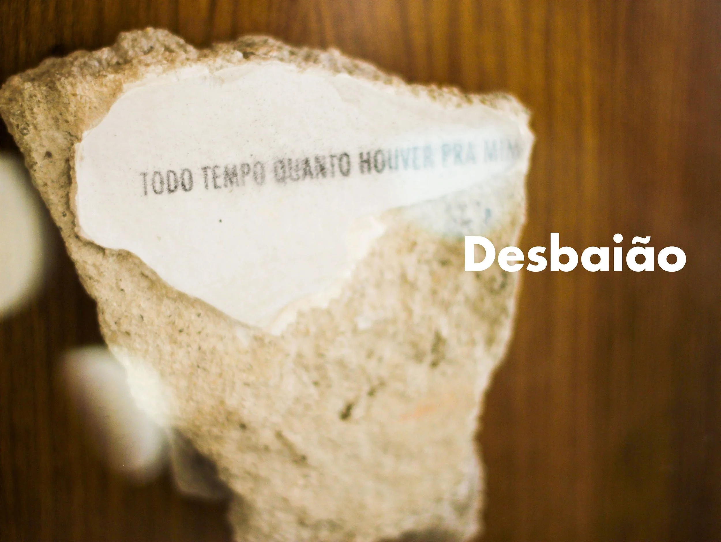 1_Gabriel Duran Fraga - Desbaião Home 1.jpg