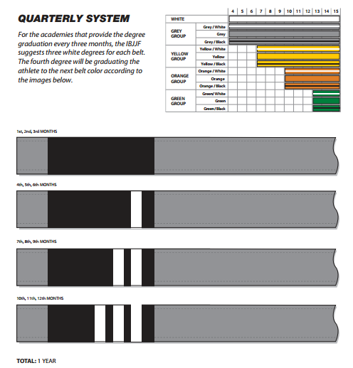 Kids bjj belt system cheap