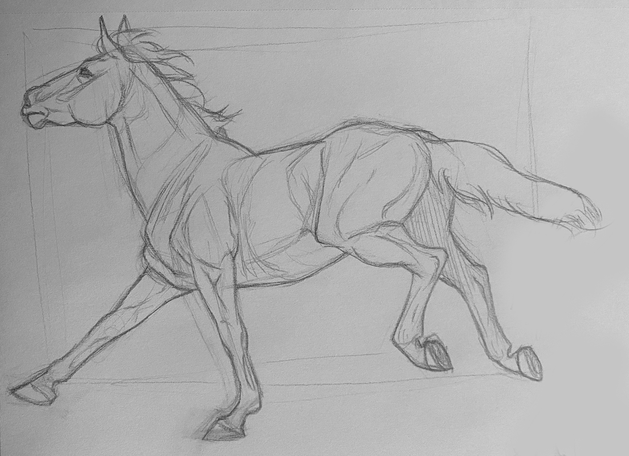 sketch_horse1.png