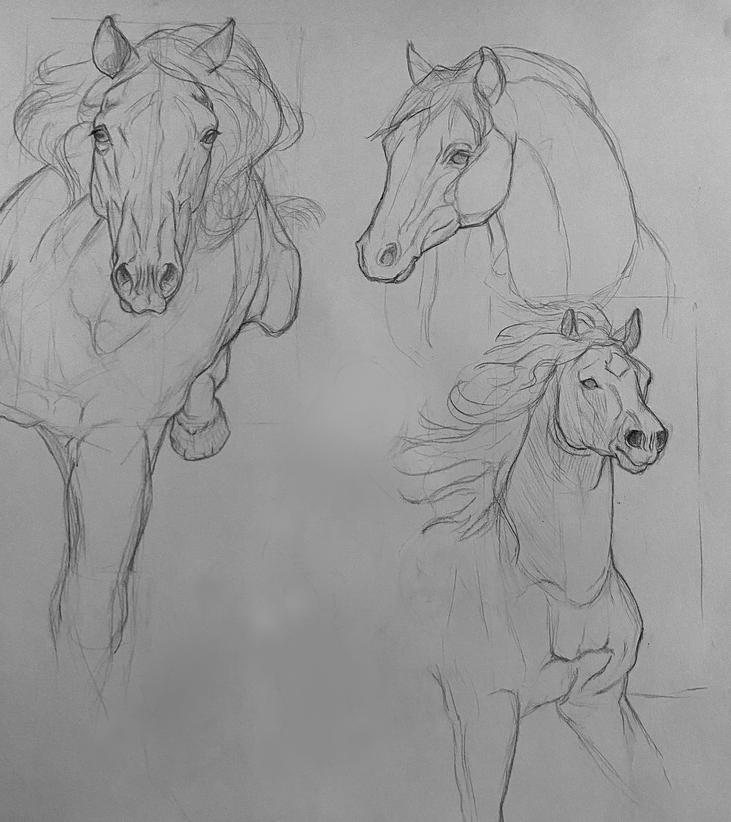 sketch_horses.png
