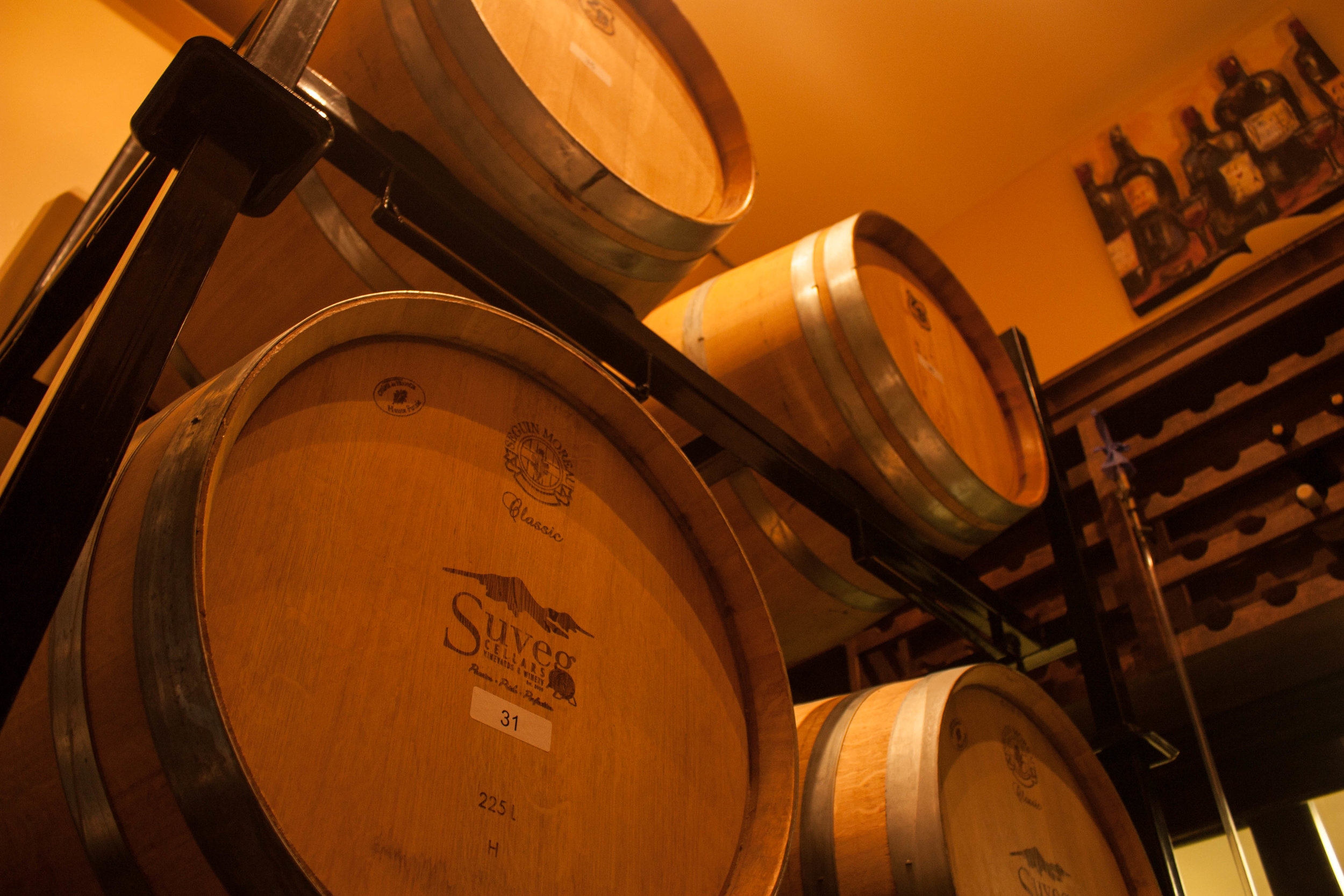 Suveg Cellars 7.jpg