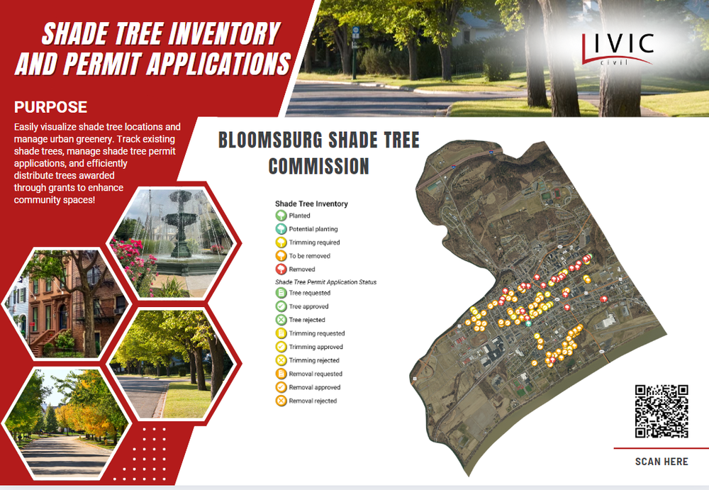 Bloomsburg Shade Tree.png