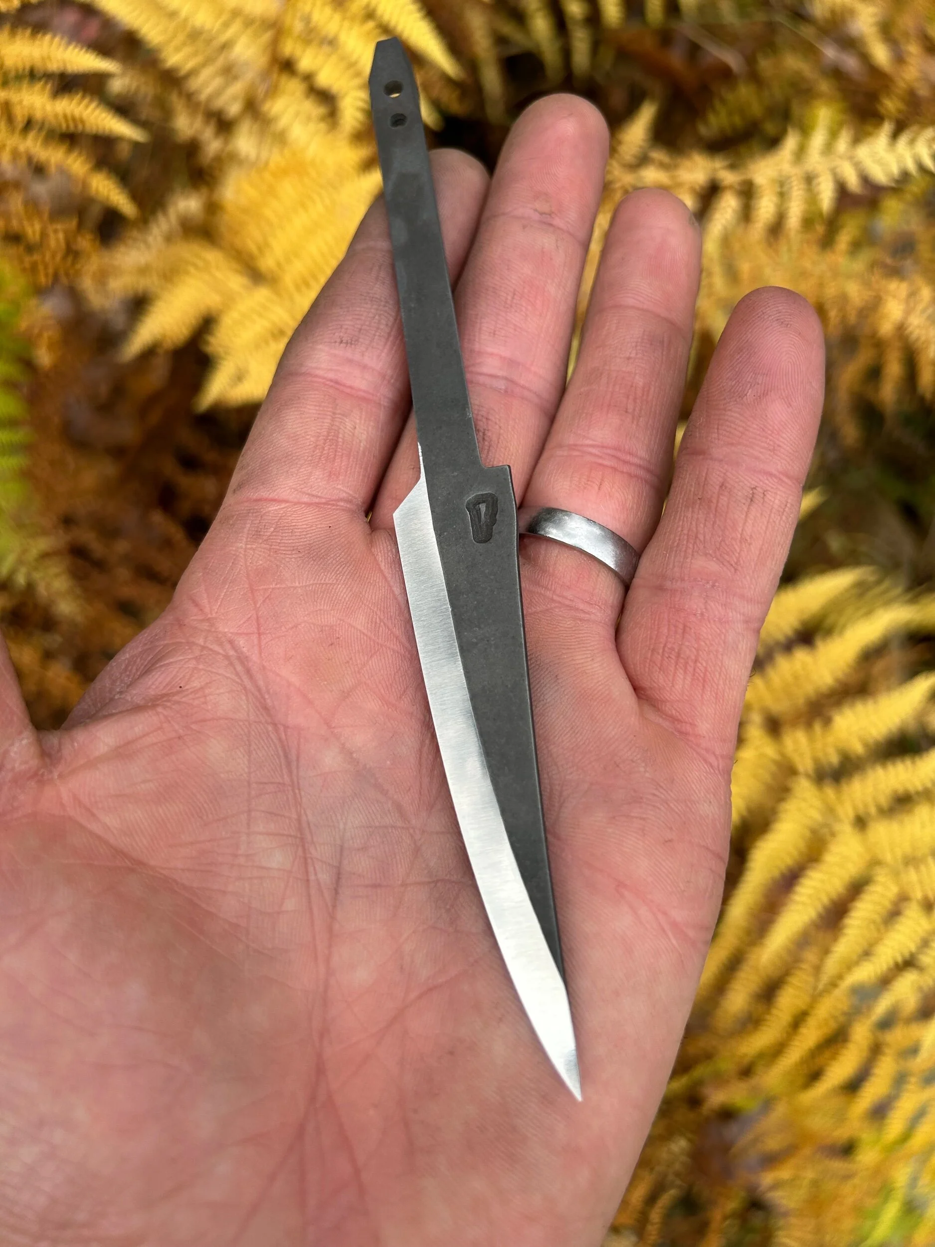 1BF48674-1DF8-4C18-B43F-67A30D54301C