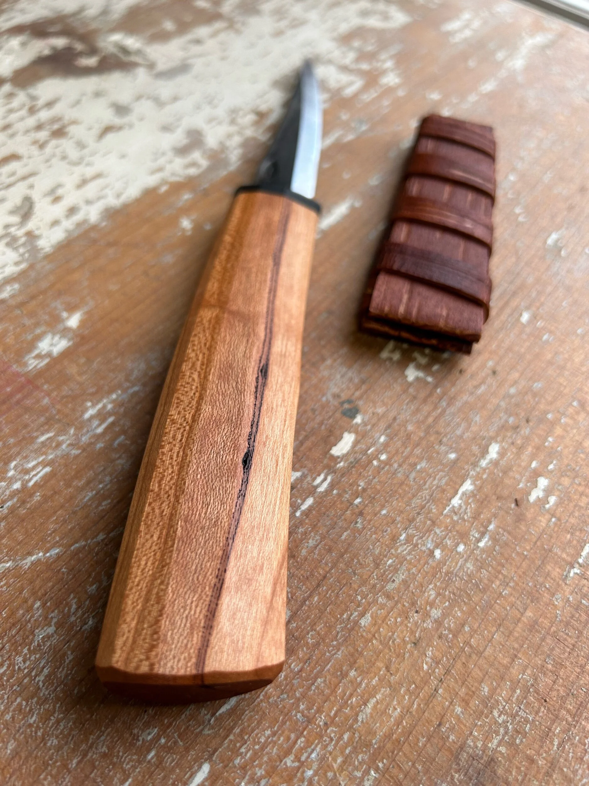 19F636B8-E122-4241-AA07-A676E6314673