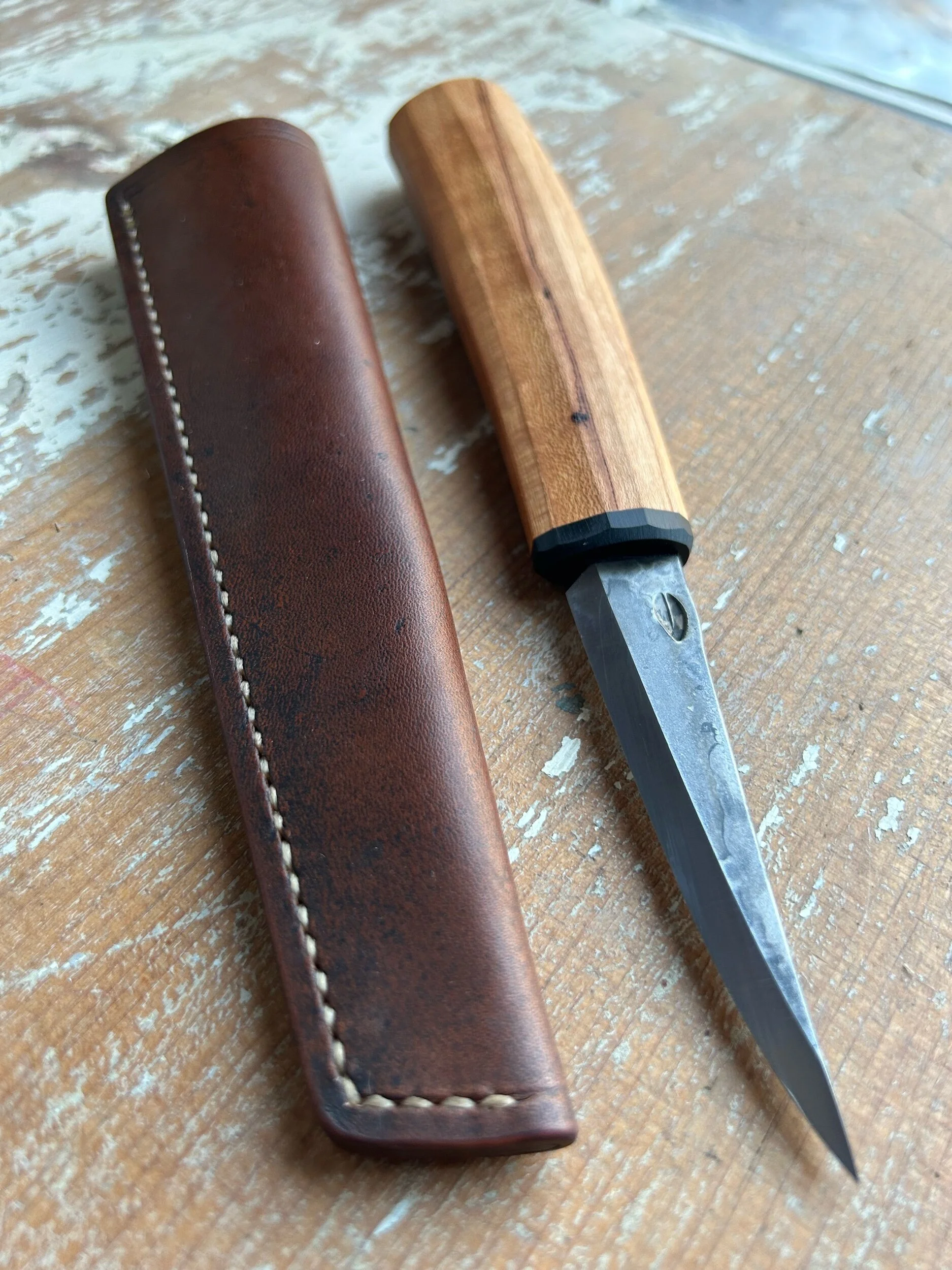 6E28A43A-F153-41CB-82A2-3C64E48E0506