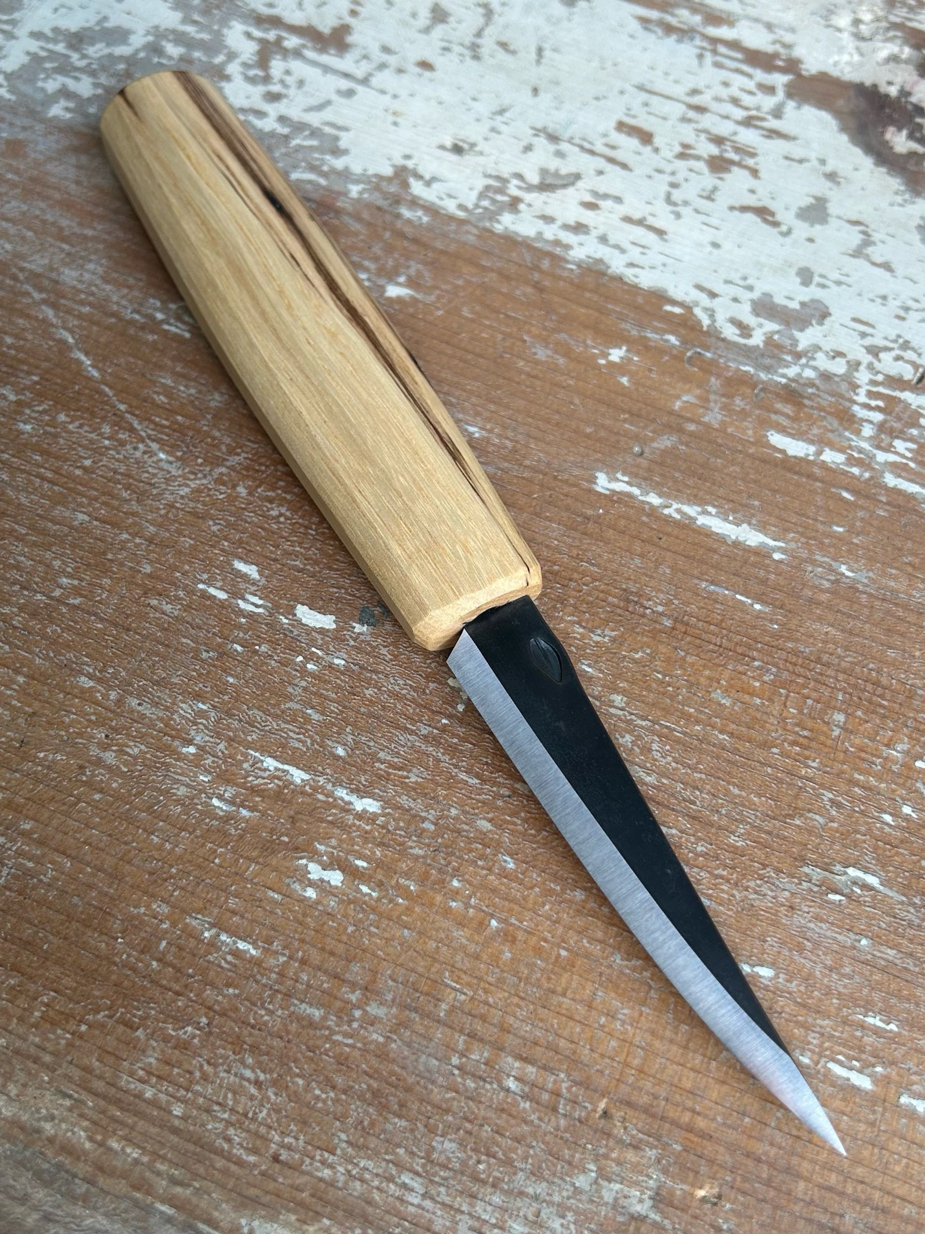 4009E56D-4DD2-45C4-81A3-ACAB5D1A58BF