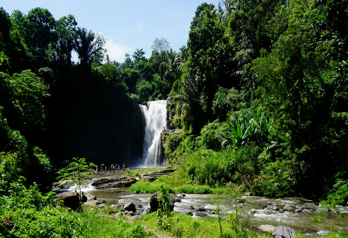 The Bali Waterfalls - an exhilarating experience